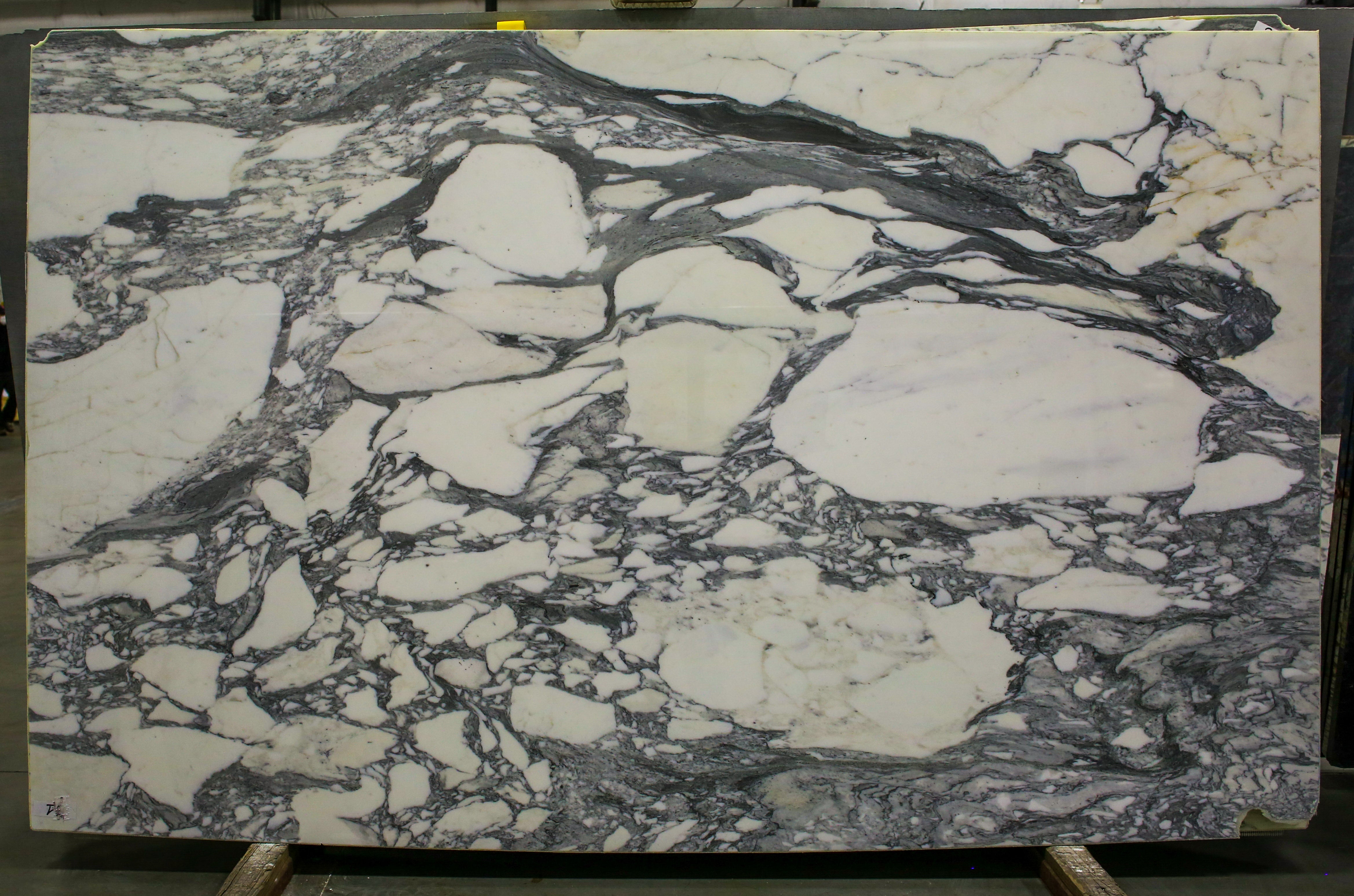  Arabescato Corchia A1 Select Marble Slab 3/4 - VR5521#31 -  69X116 