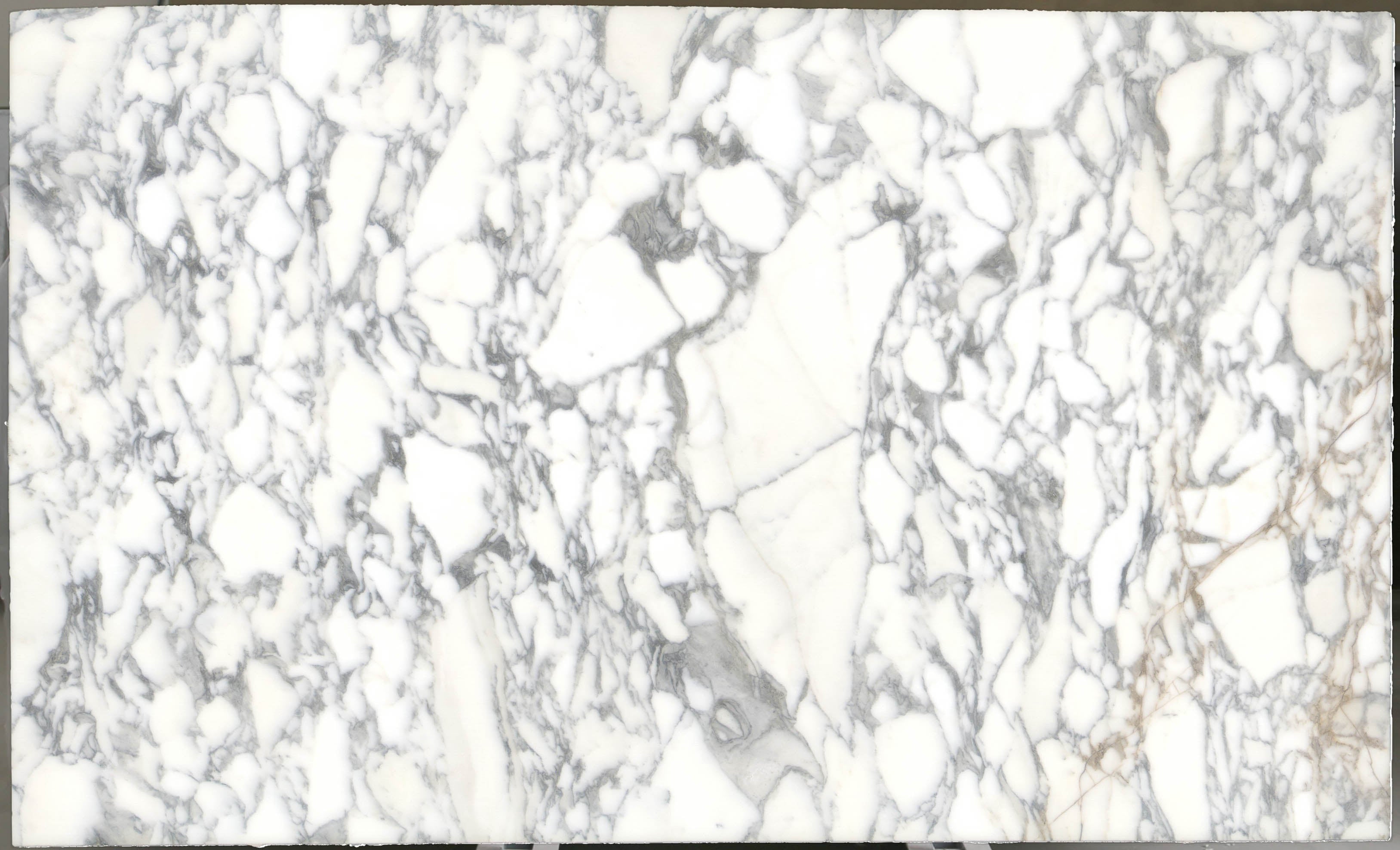  Arabescato Corchia Marble Slab 3/4 - 4026#21 -  VS 74x123 