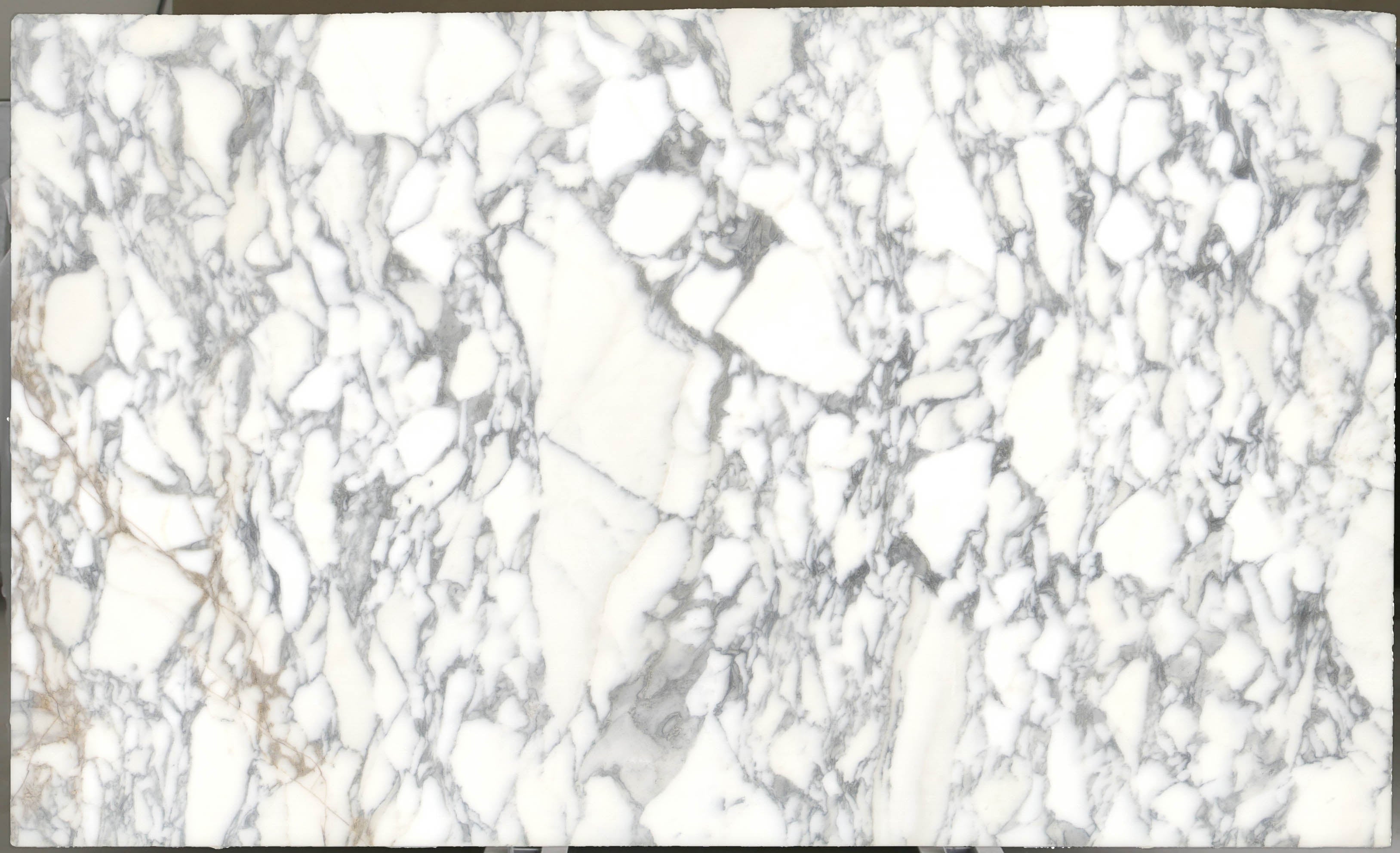  Arabescato Corchia Marble Slab 3/4 - 4026#22 -  VS 74x123 