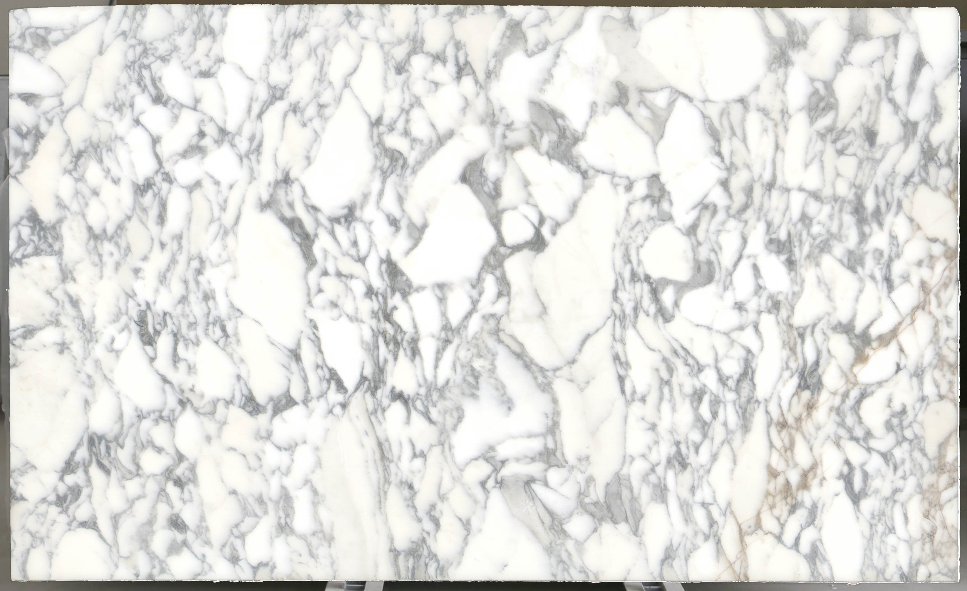 Arabescato Corchia Marble Slab 3/4 - 4026#23 -  VS 74x123 