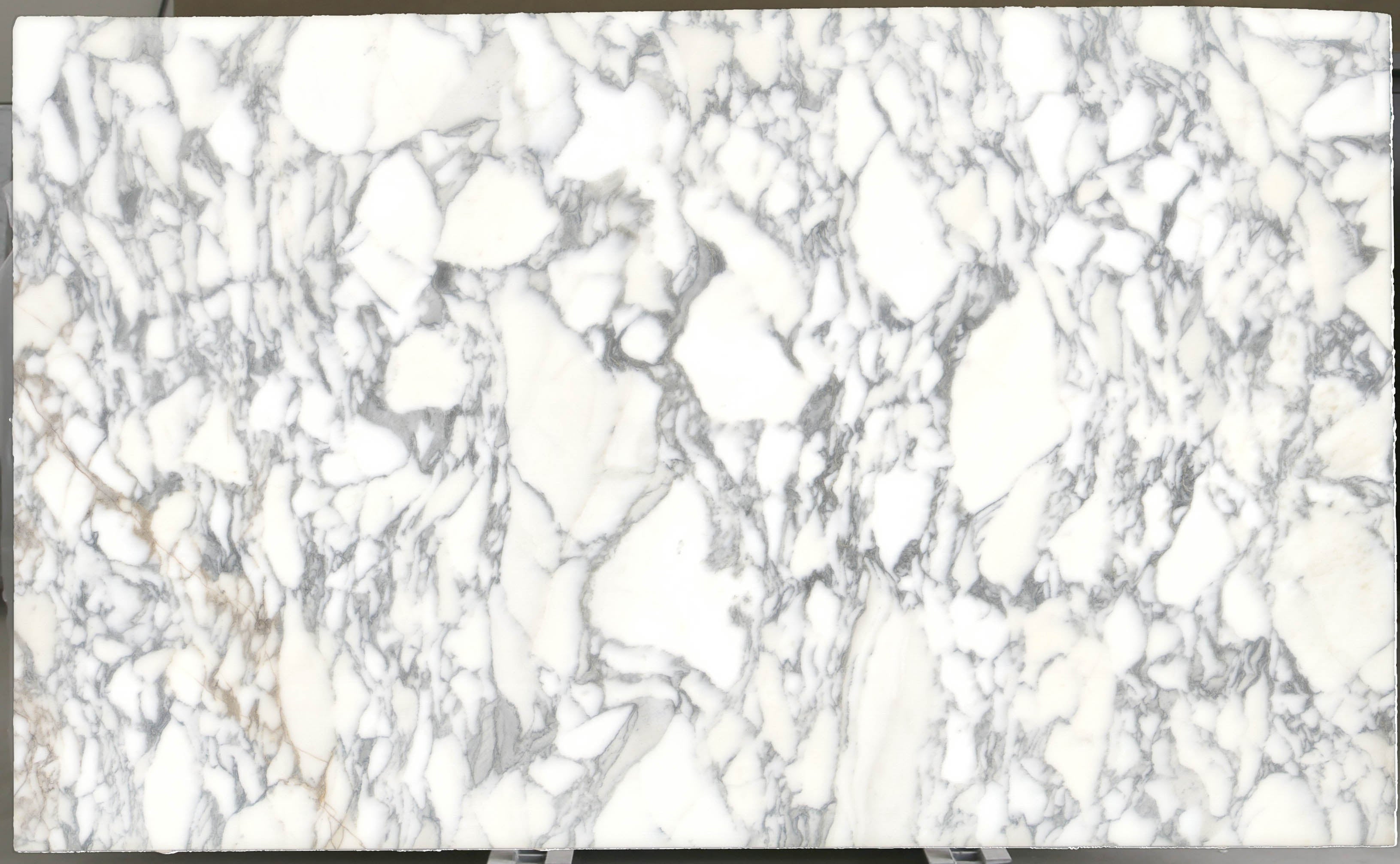  Arabescato Corchia Marble Slab 3/4 - 4026#24 -  VS 74x123 