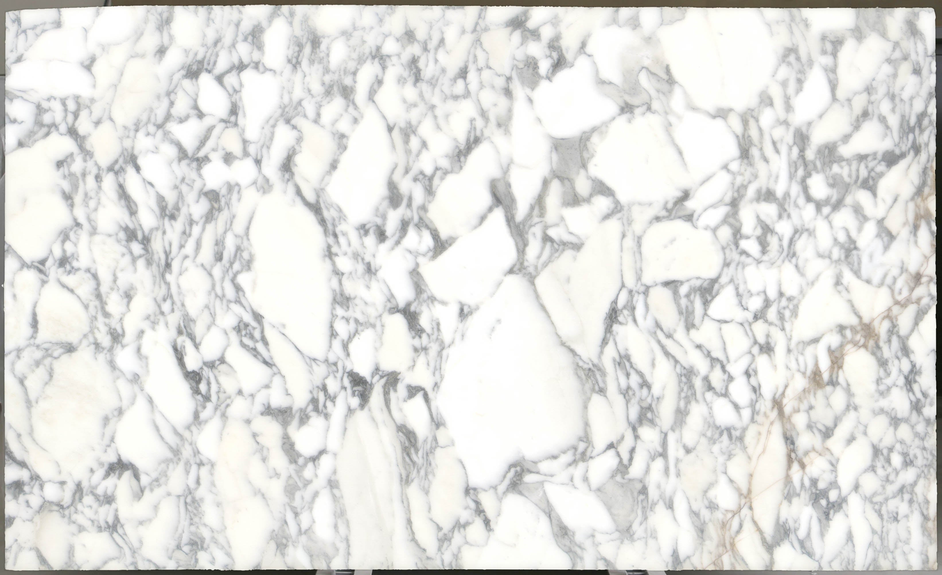  Arabescato Corchia Marble Slab 3/4 - 4026#25 -  VS 74x123 