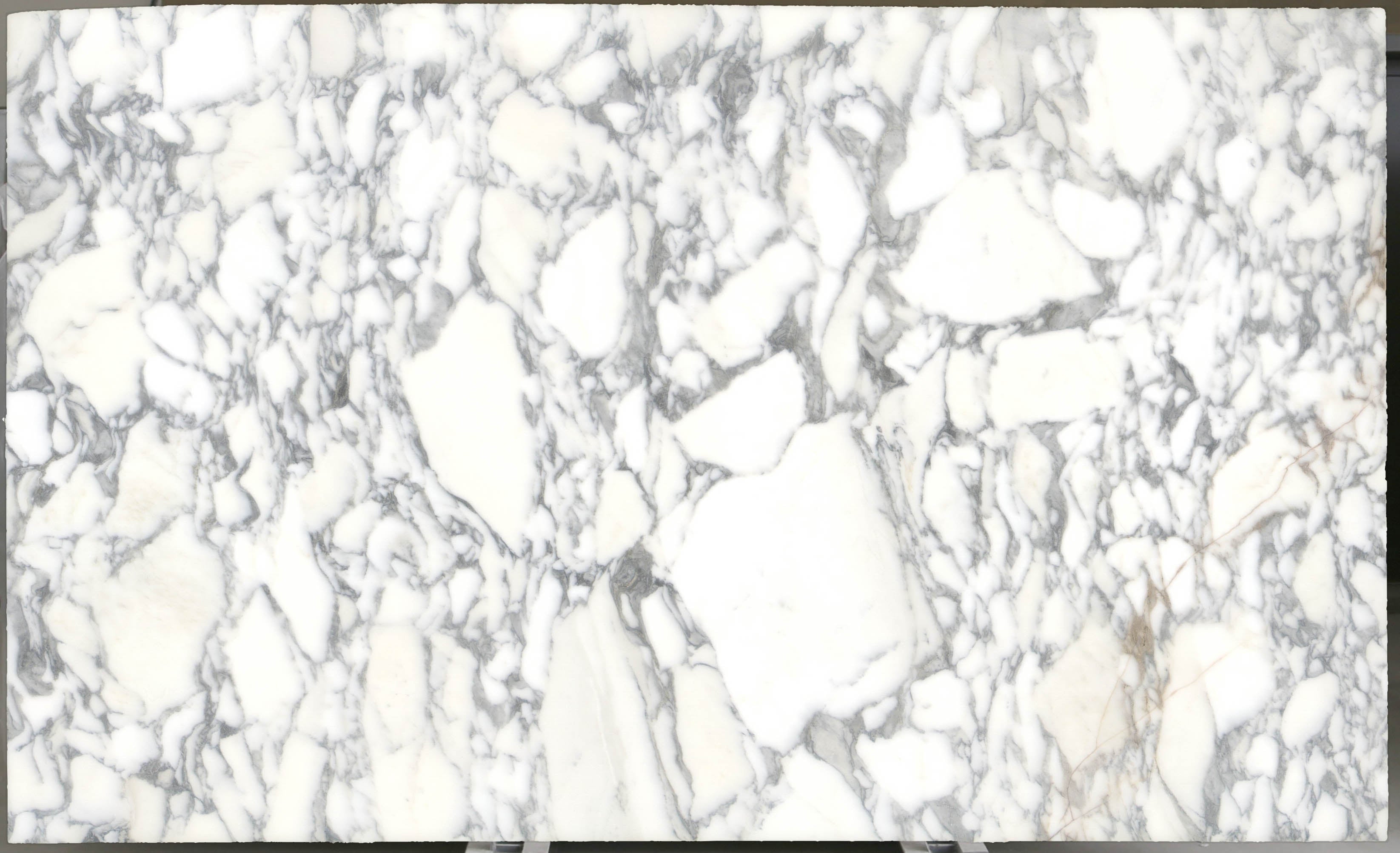  Arabescato Corchia Marble Slab 3/4 - 4026#27 -  VS 74x123 