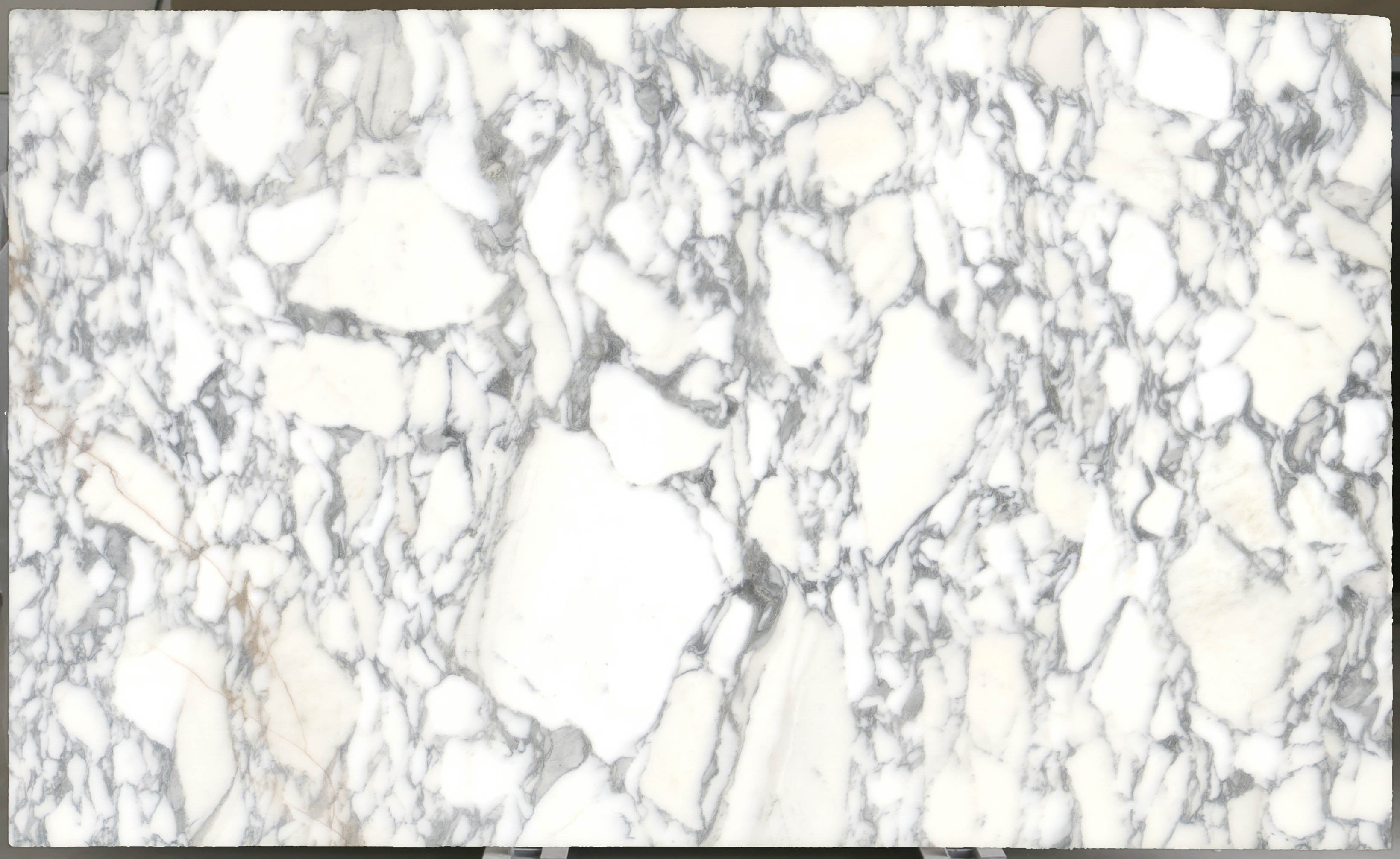 Arabescato Corchia Marble Slab 3/4 - 4026#28 -  VS 74x123 