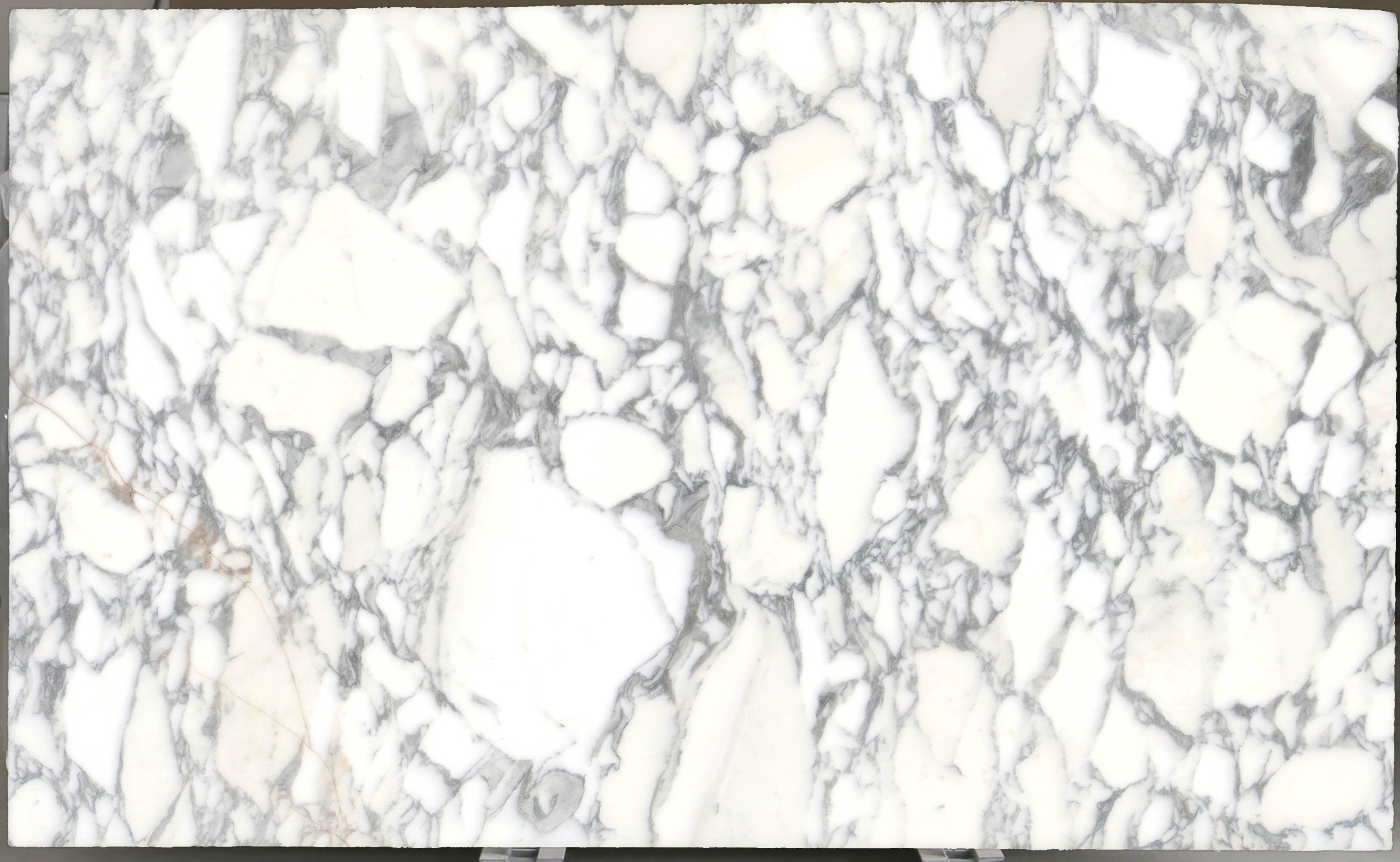  Arabescato Corchia Marble Slab 3/4 - 4026#30 -  VS 74x123 