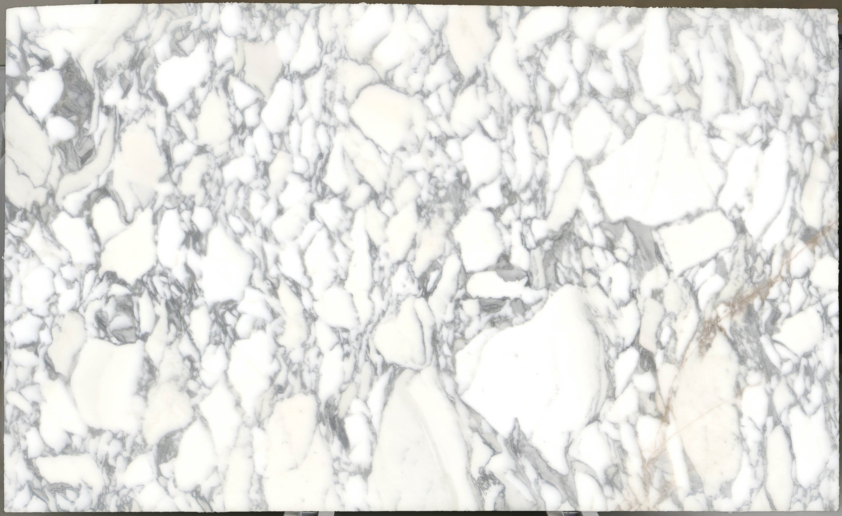  Arabescato Corchia Marble Slab 3/4 - 4026#31 -  VS 74x123 