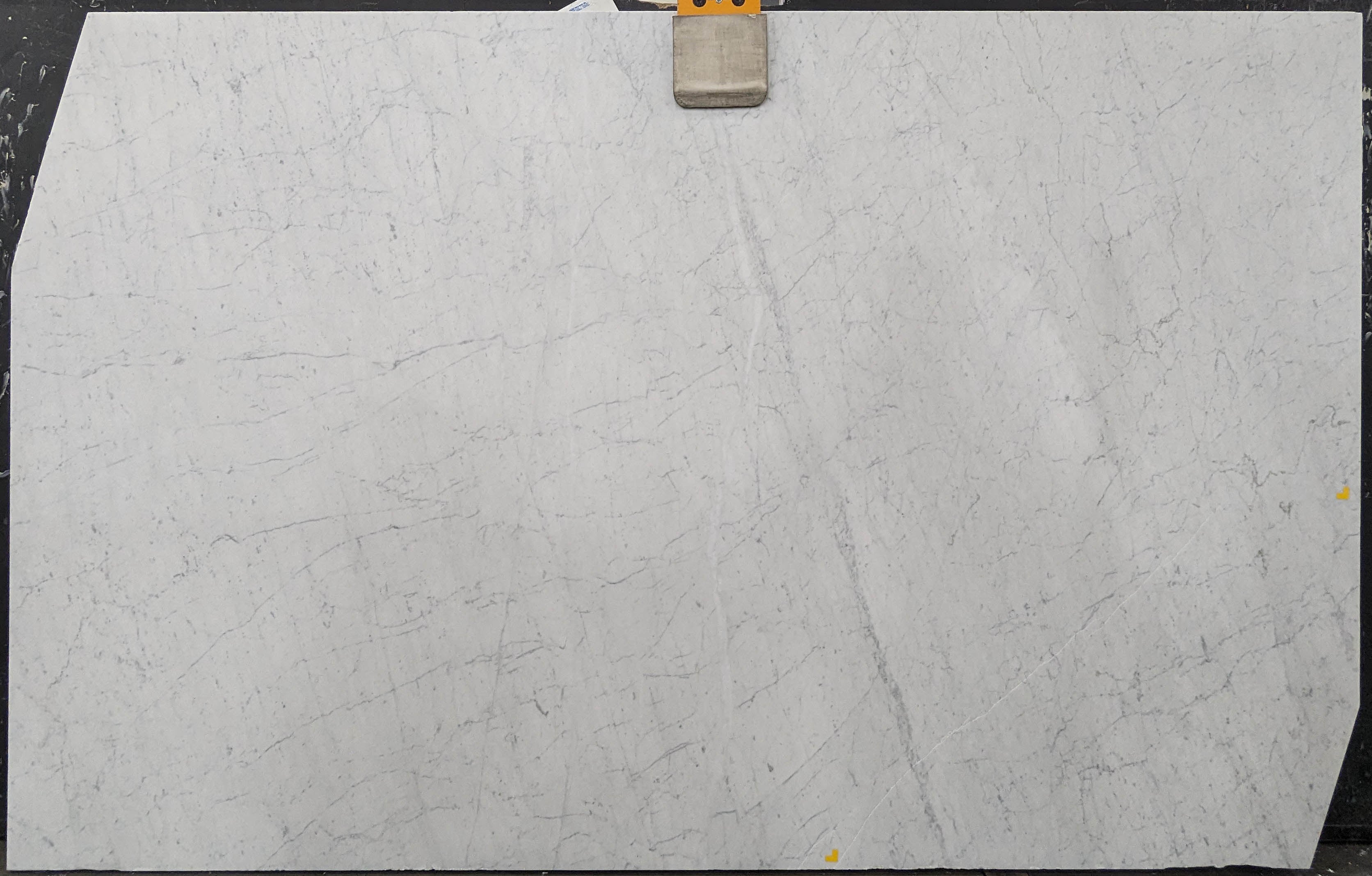  Bianco Carrara Marble Slab 3/4 - L2095#61 -  VS 59x98 