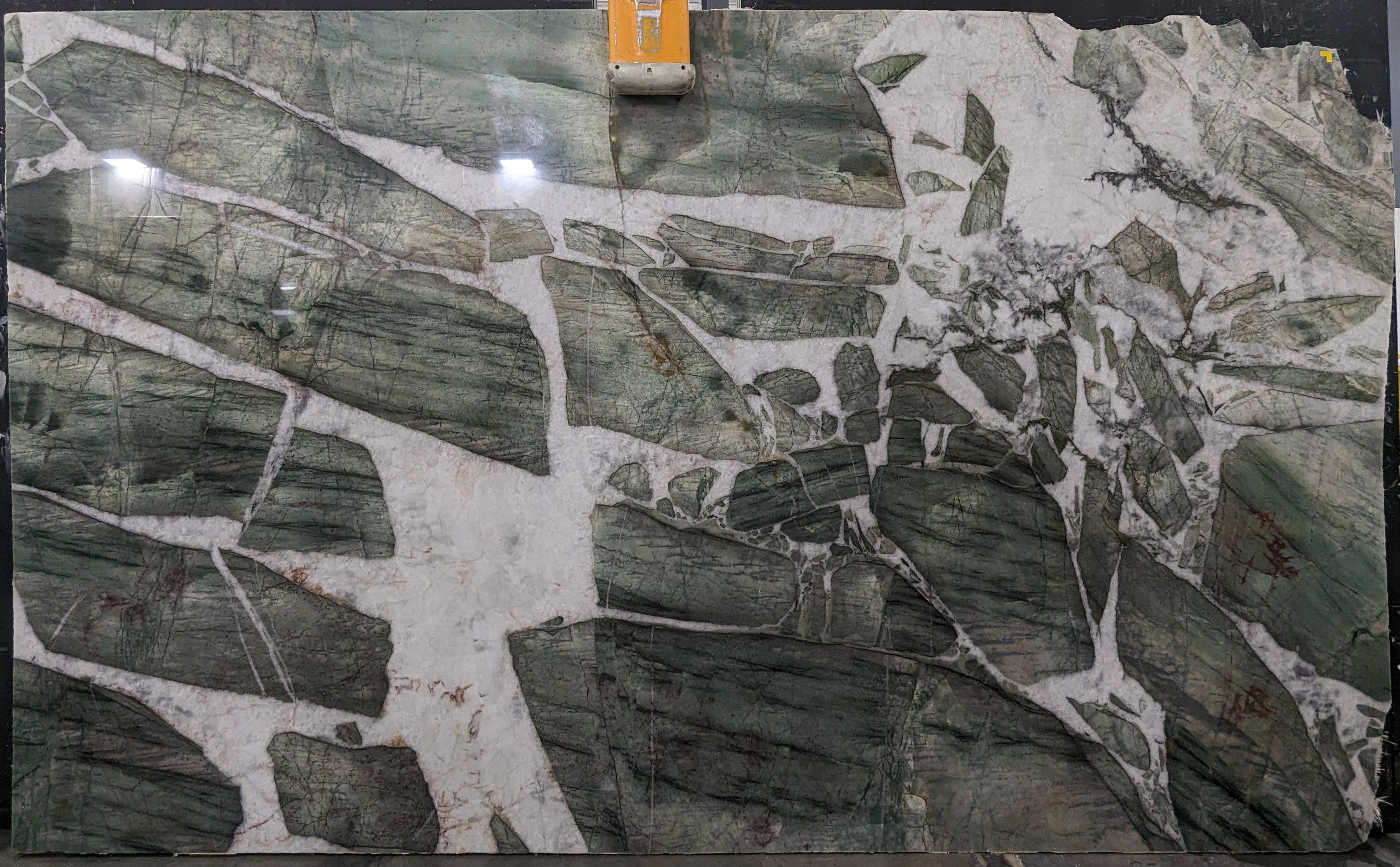  Botanic Green Extra Quartzite Slab 3/4 - 14099#30 -  60x79 