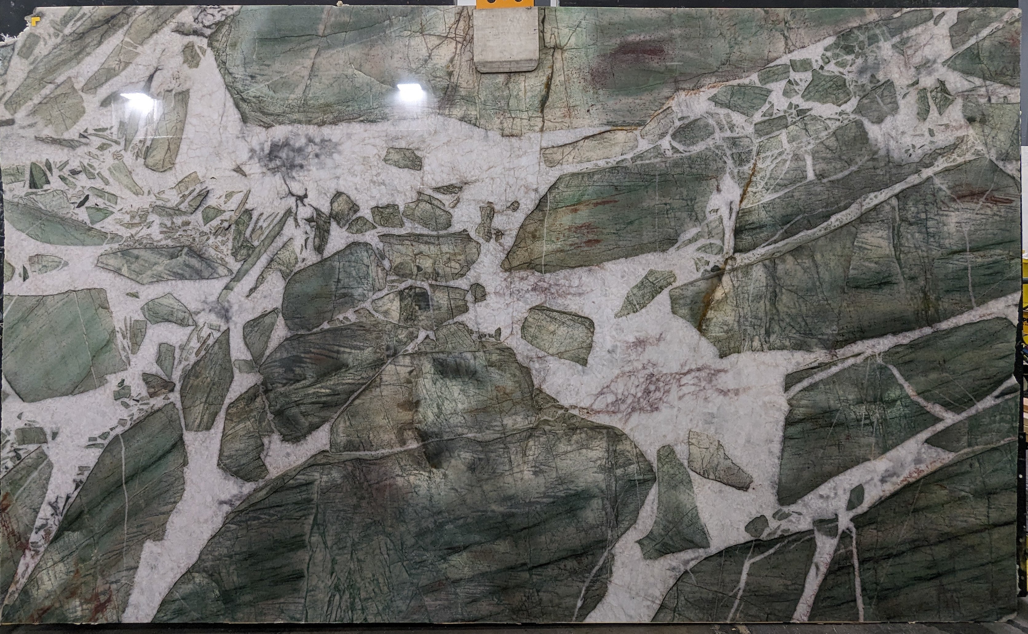  Botanic Green Extra Quartzite Slab 3/4 - 14099#49 -  79x129 