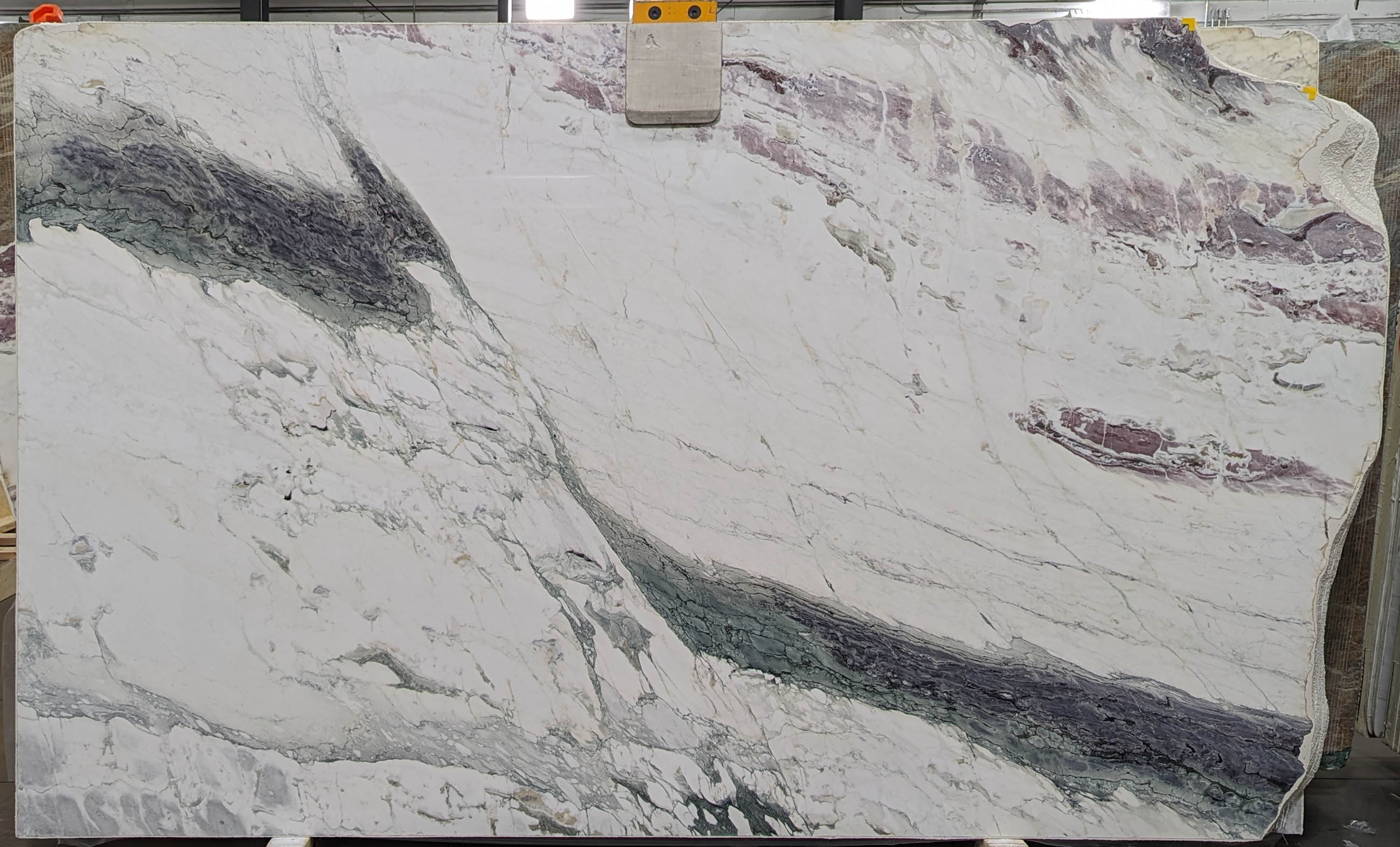  Breccia Capraia Marble Slab 3/4  Polished Stone - VR7428#50 -  72x103 