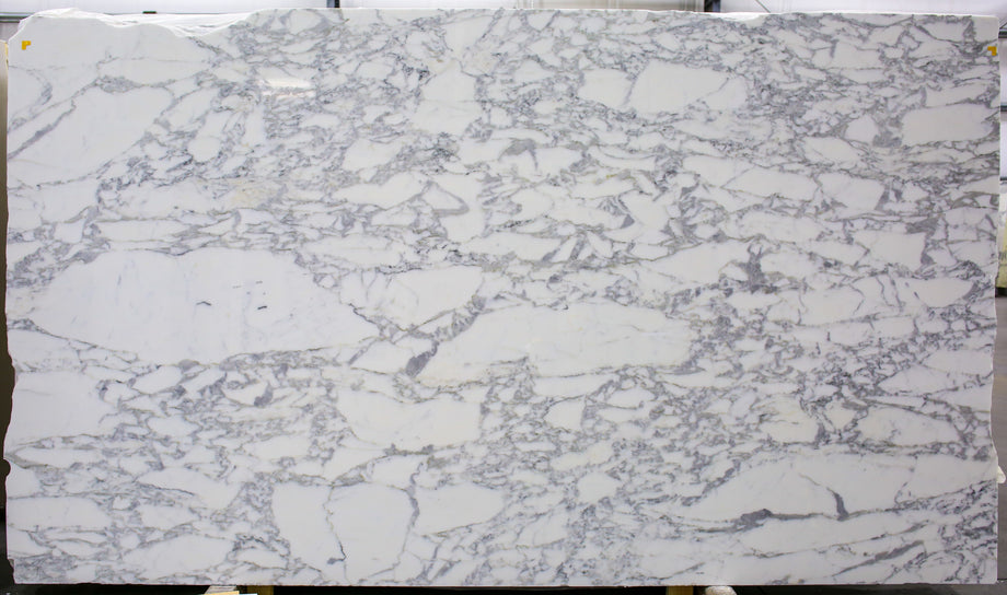  Calacatta Belgia Marble Slab 3/4  Polished Stone - 713A#67 -  71x127 