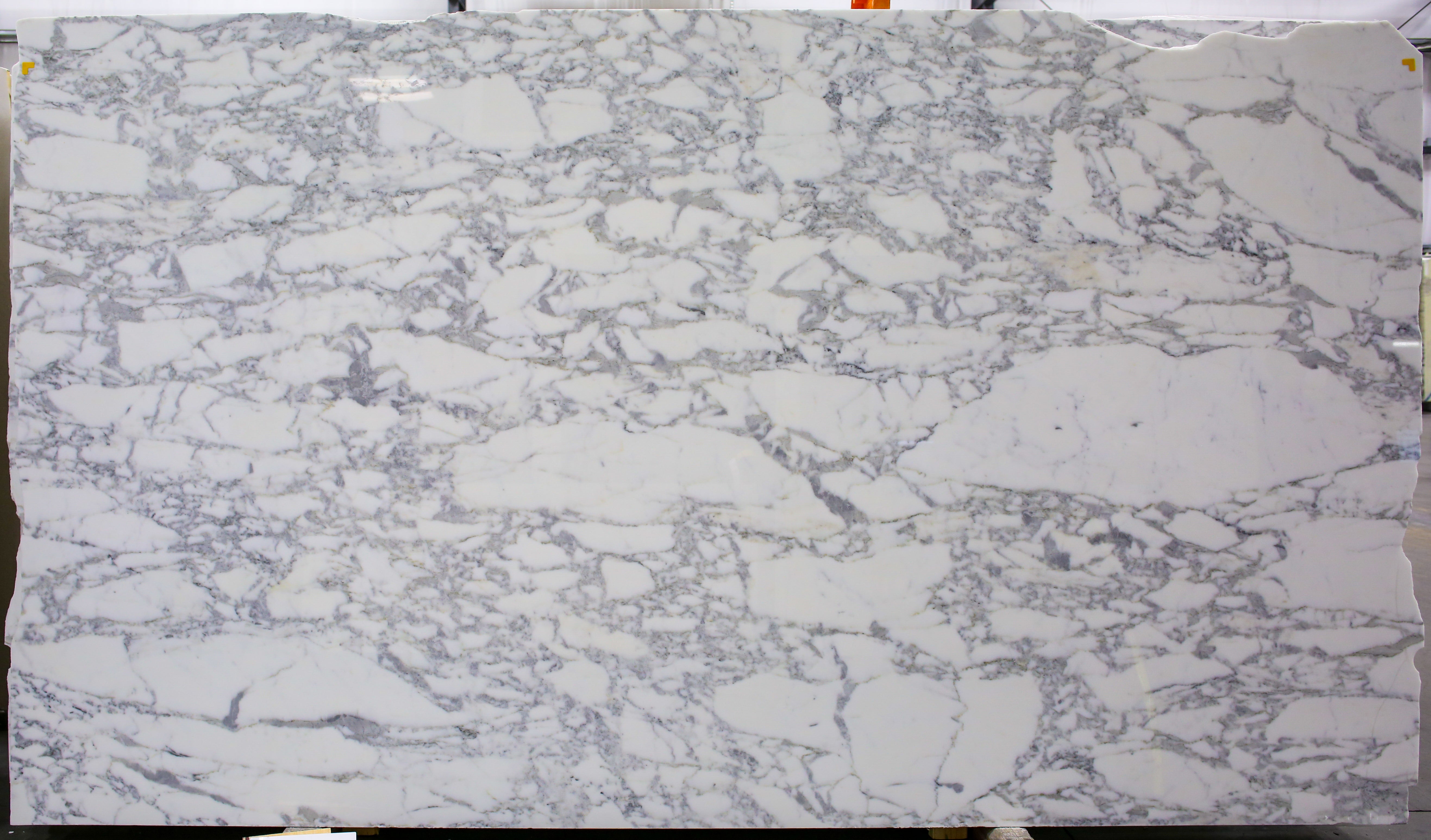  Calacatta Belgia Marble Slab 3/4  Polished Stone - 713A#68 -  71x125 