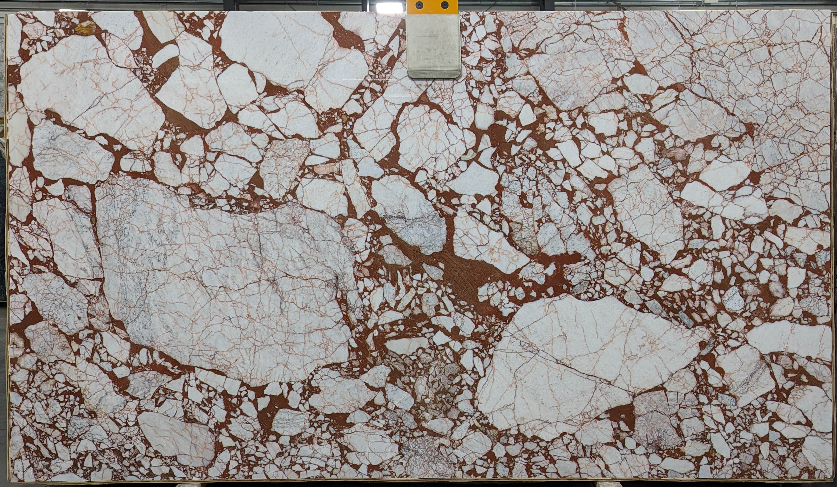 Calacatta Burgundy Marble Slab 3/4  Polished Stone - TM2210#12 -  VS 71X124 