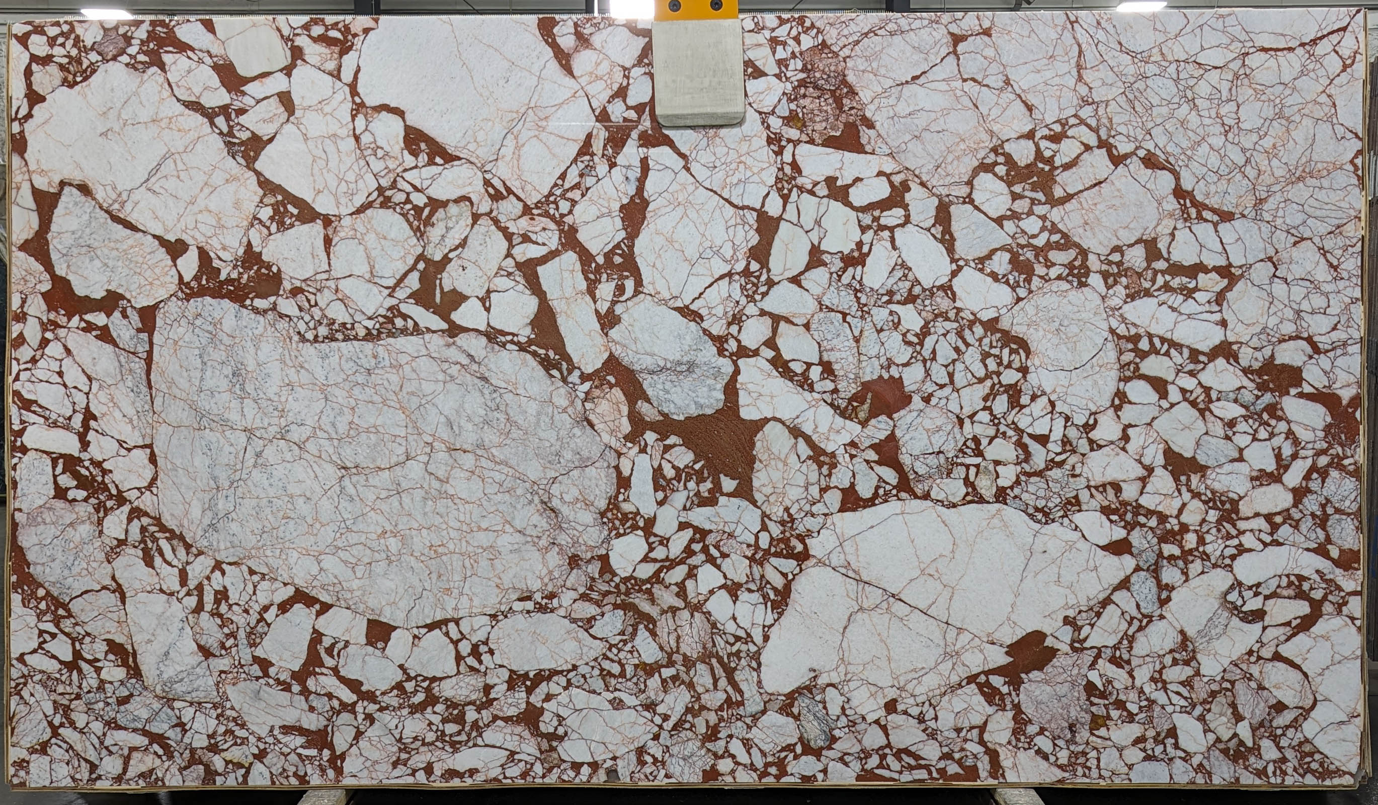  Calacatta Burgundy Marble Slab 3/4  Polished Stone - TM2210#14 -  VS 71X124 