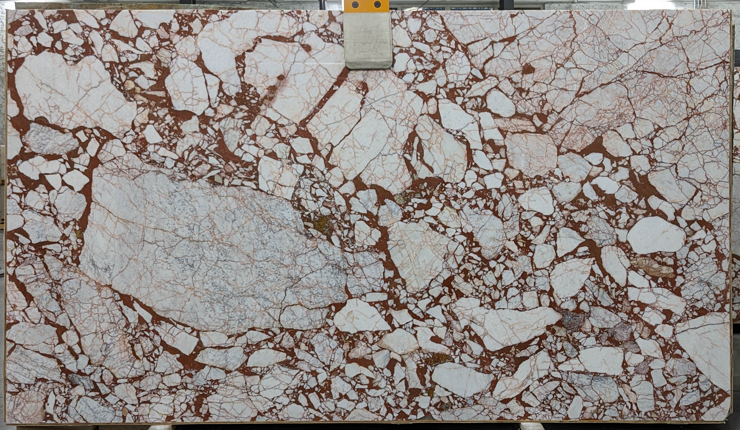  Calacatta Burgundy Marble Slab 3/4  Polished Stone - TM2210#20 -  VS 71X124 