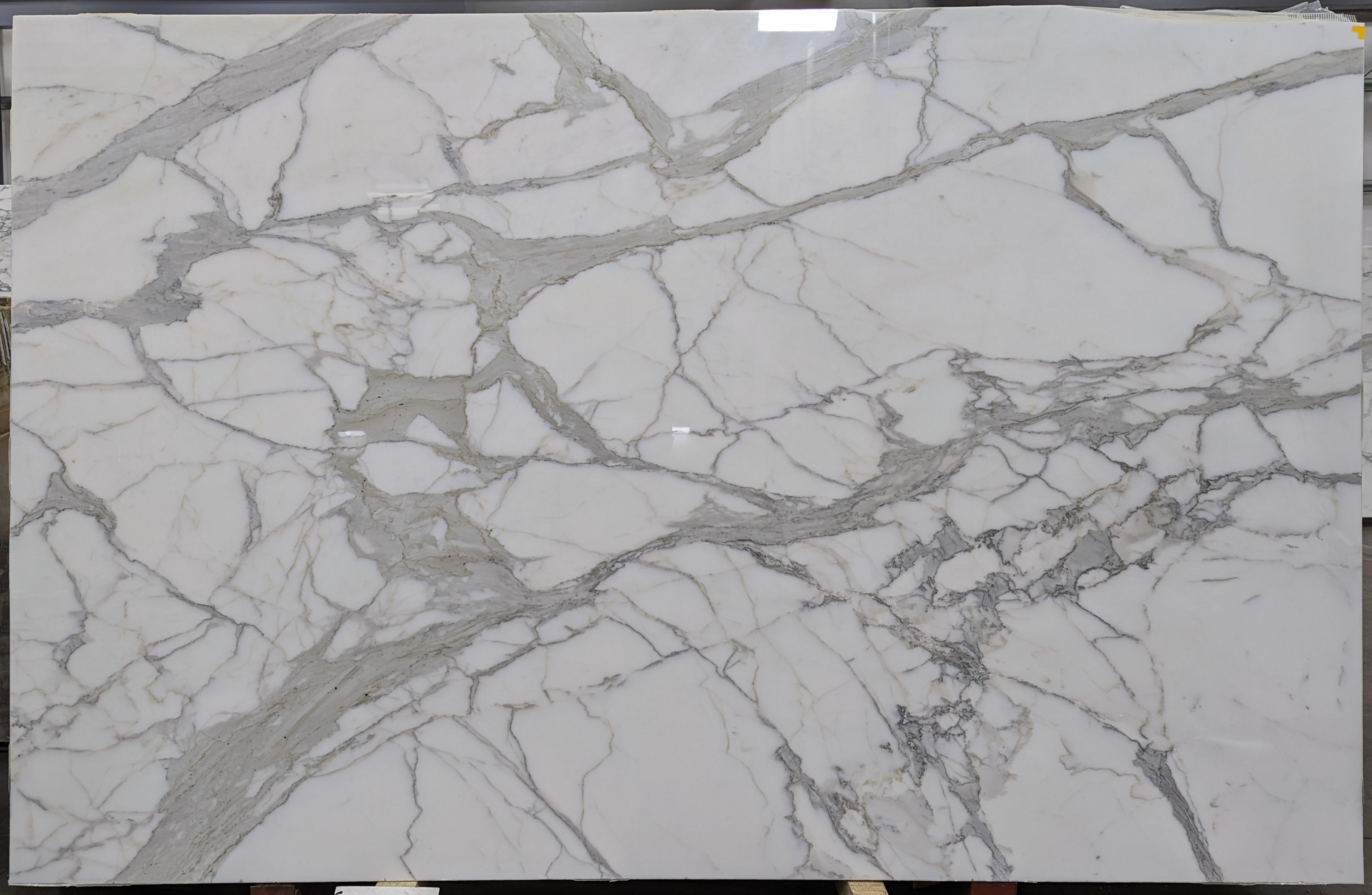  Calacatta Gold A1 Select Marble Slab 3/4 - 1953B#55 -  73x117 