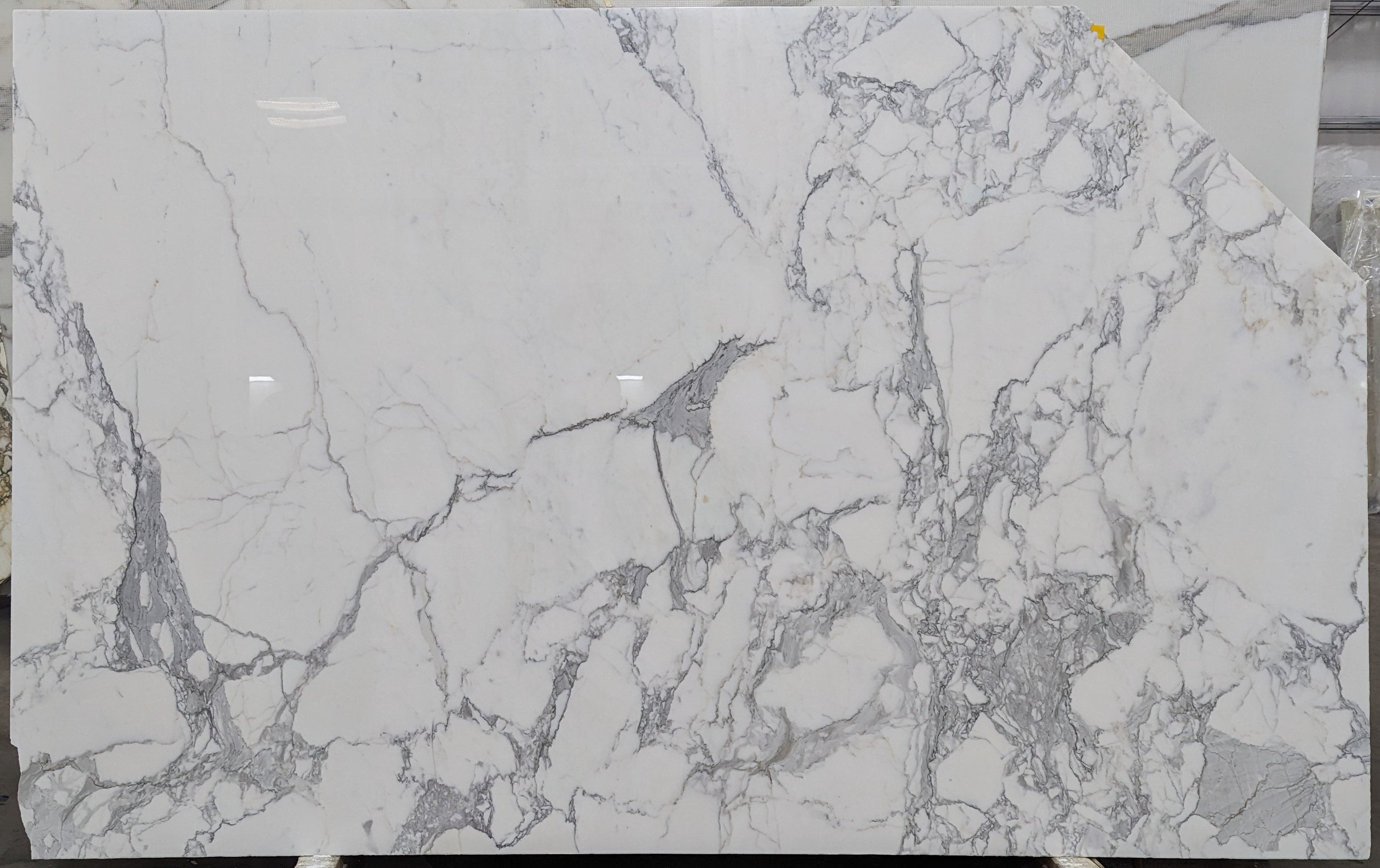  Calacatta Gold A2 Standard Marble Slab 3/4 - 2239B#05 -  VS 68x100 