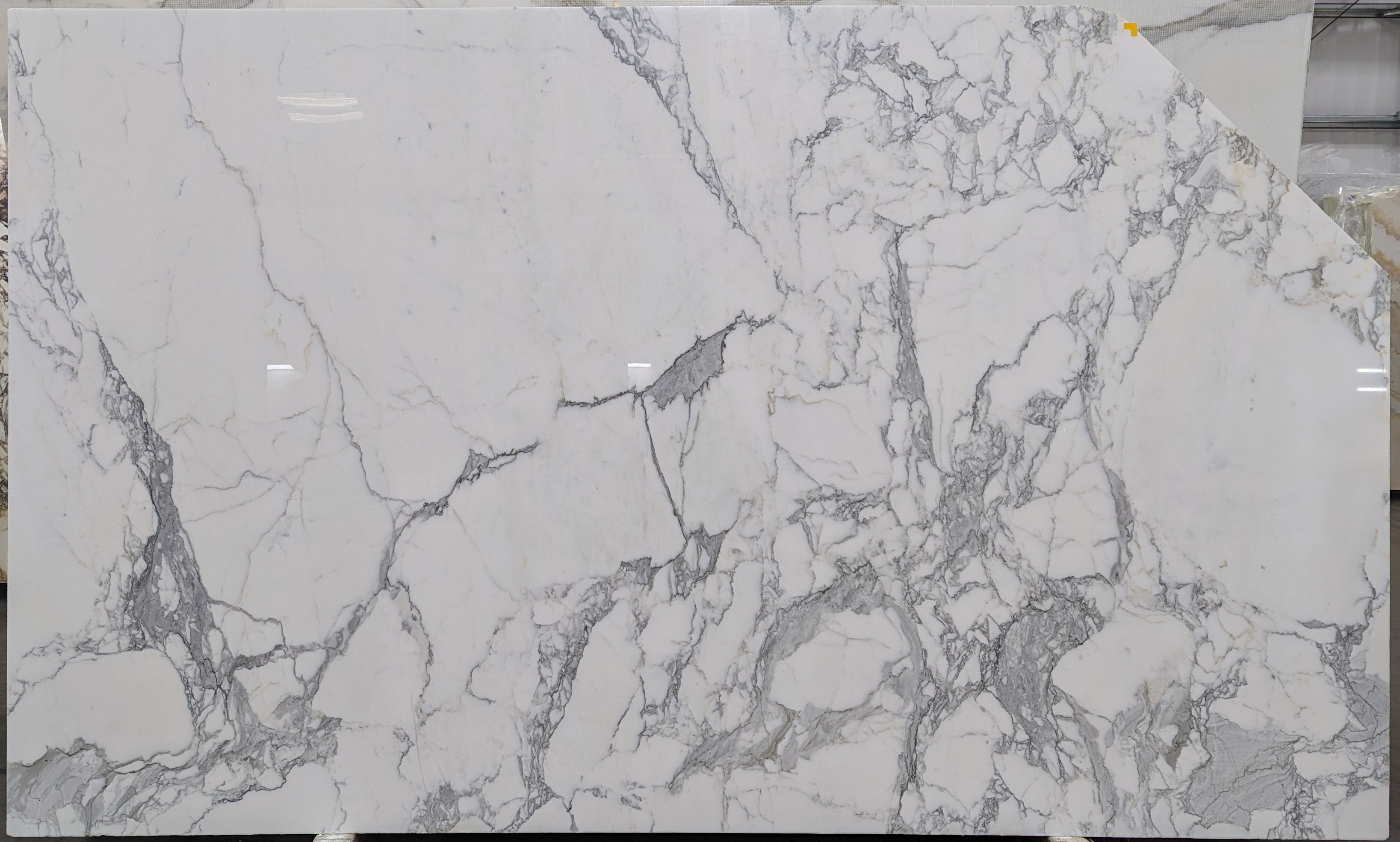  Calacatta Gold A2 Standard Marble Slab 3/4 - 2239B#07 -  VS 68x106 