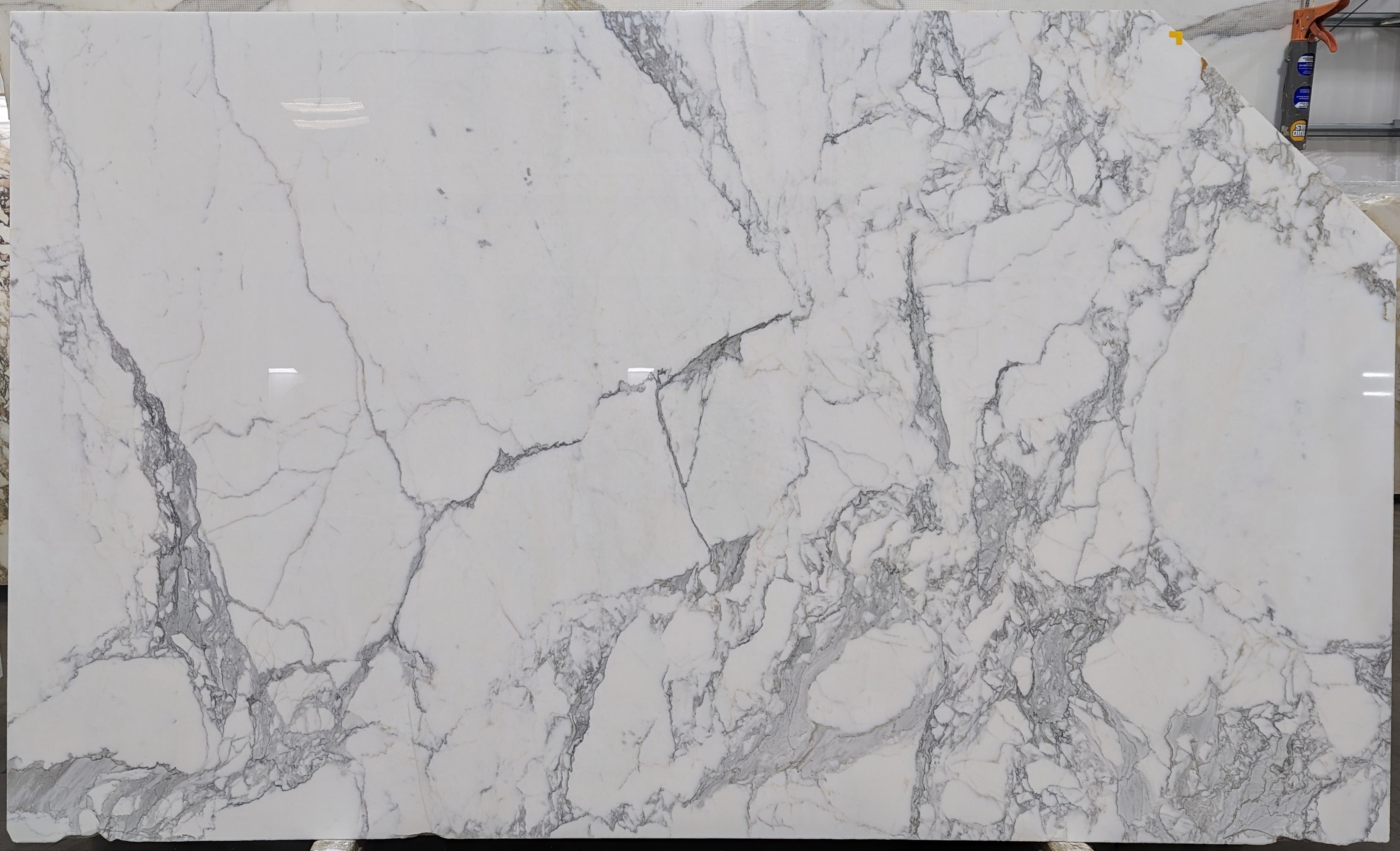  Calacatta Gold A2 Standard Marble Slab 3/4 - 2239B#09 -  VS 68x108 