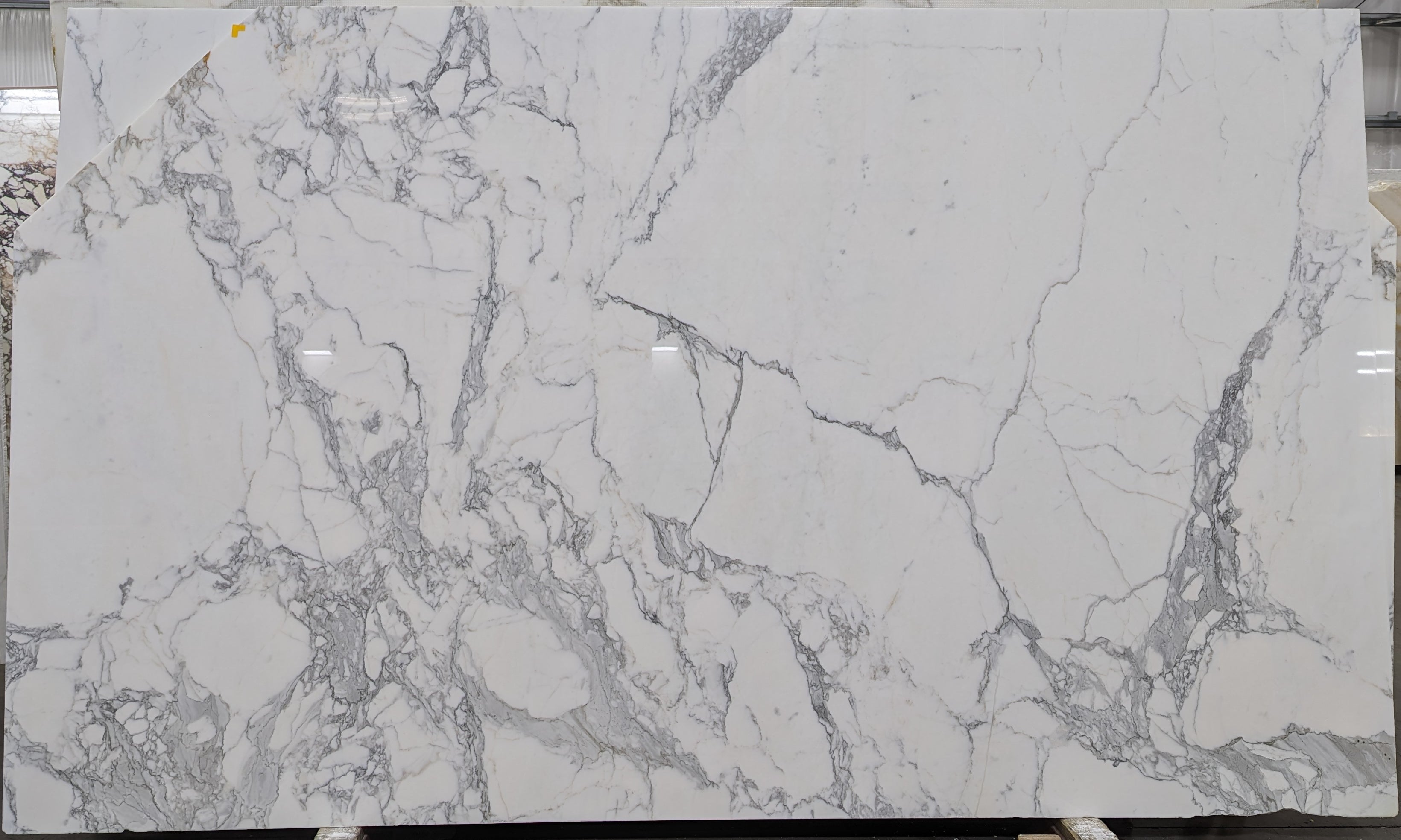  Calacatta Gold A2 Standard Marble Slab 3/4 - 2239B#10 -  VS 68x108 