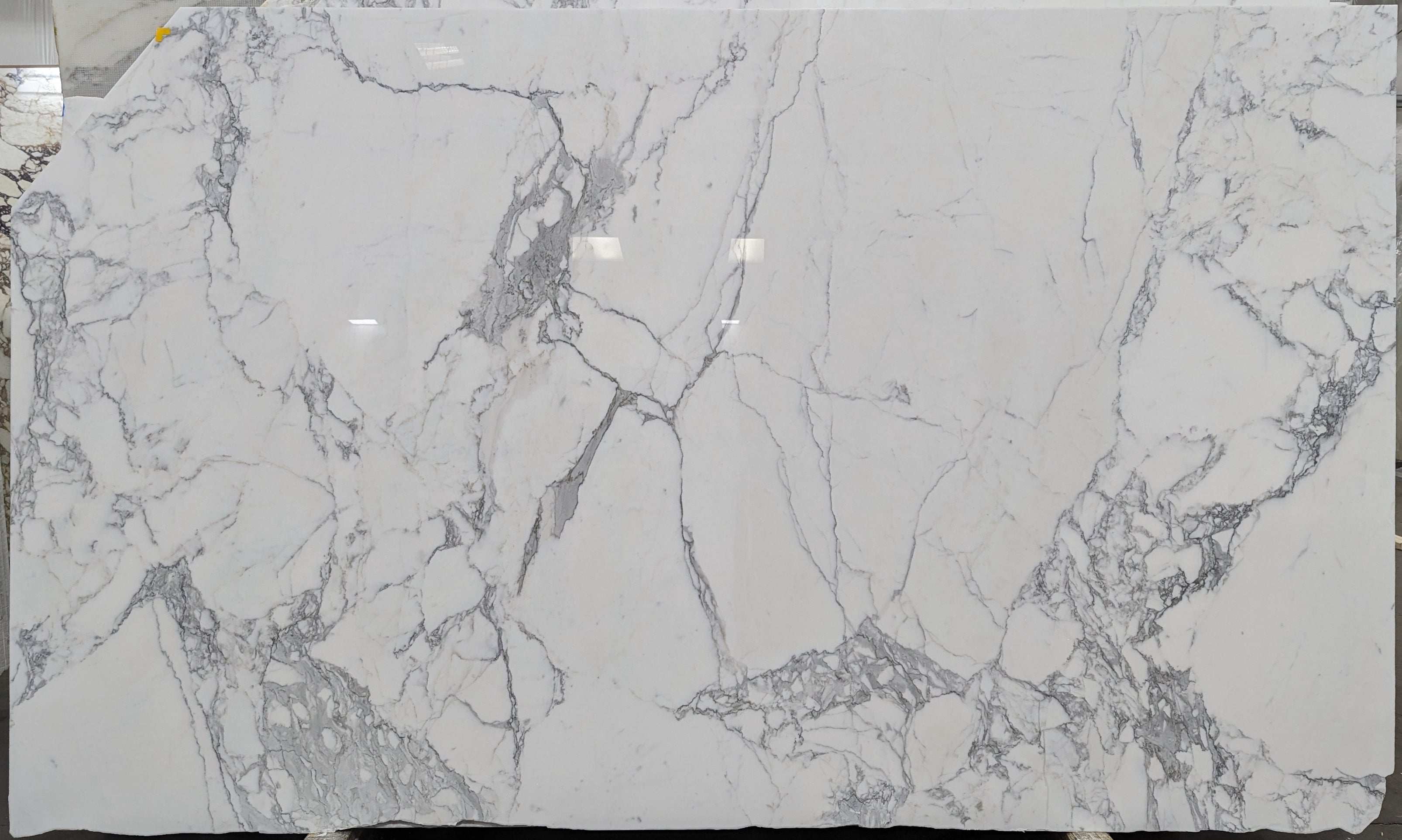  Calacatta Gold A2 Standard Marble Slab 3/4 - 2239B#32 -  VS 65x106 