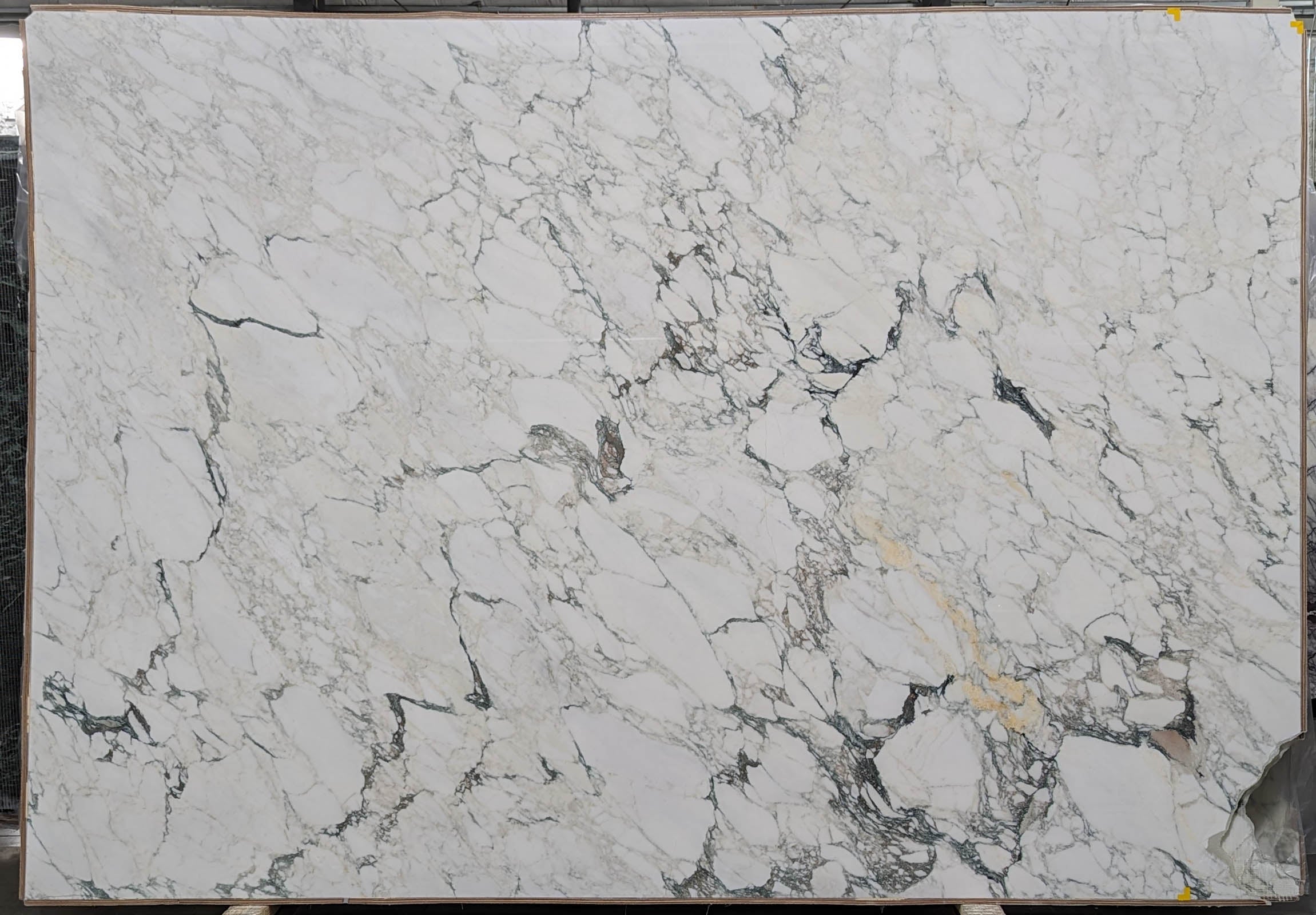  Calacatta Monet Extra Marble Slab 3/4 - T0209#09 -  61x111 