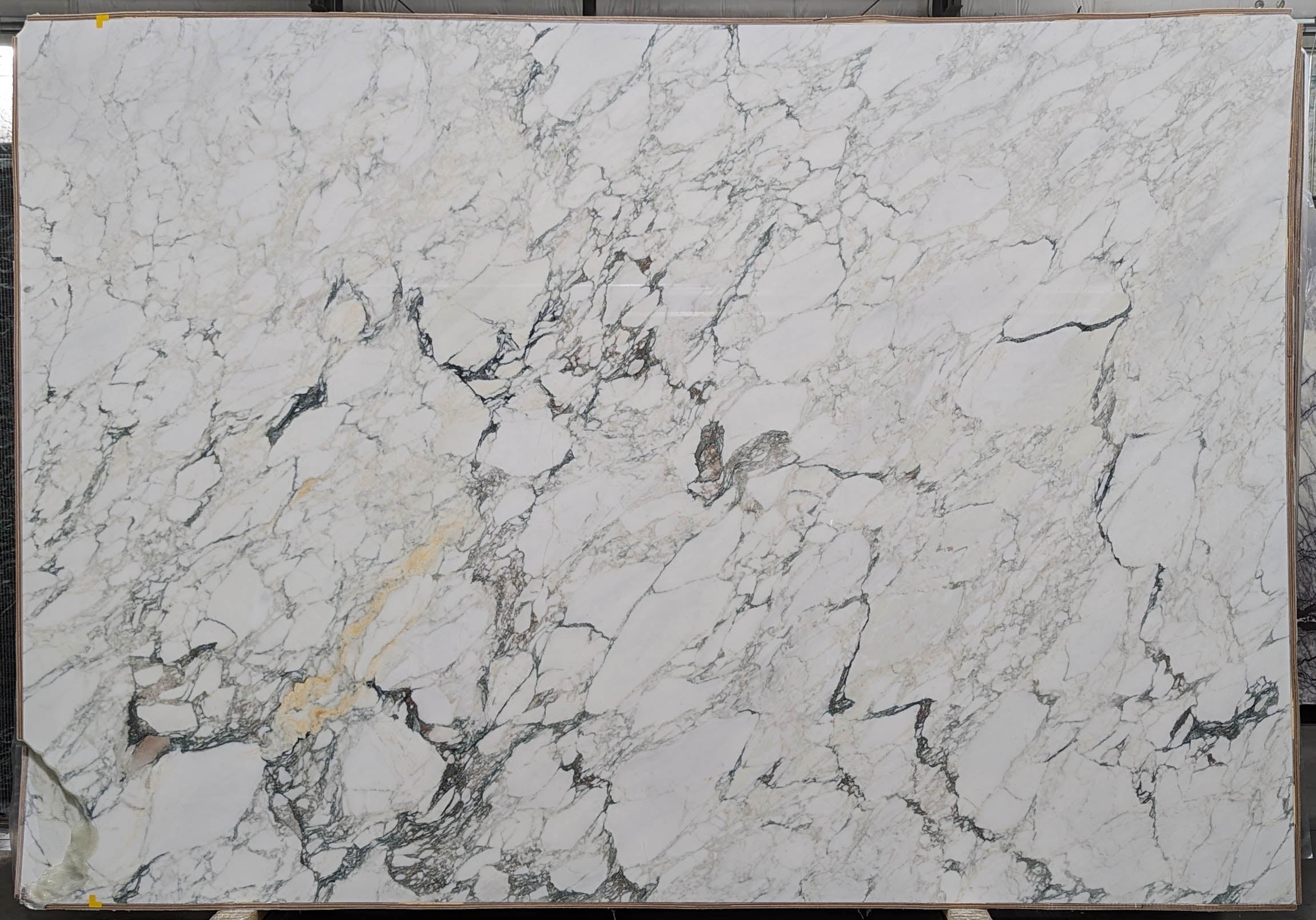  Calacatta Monet Extra Marble Slab 3/4 - T0209#10 -  61x111 