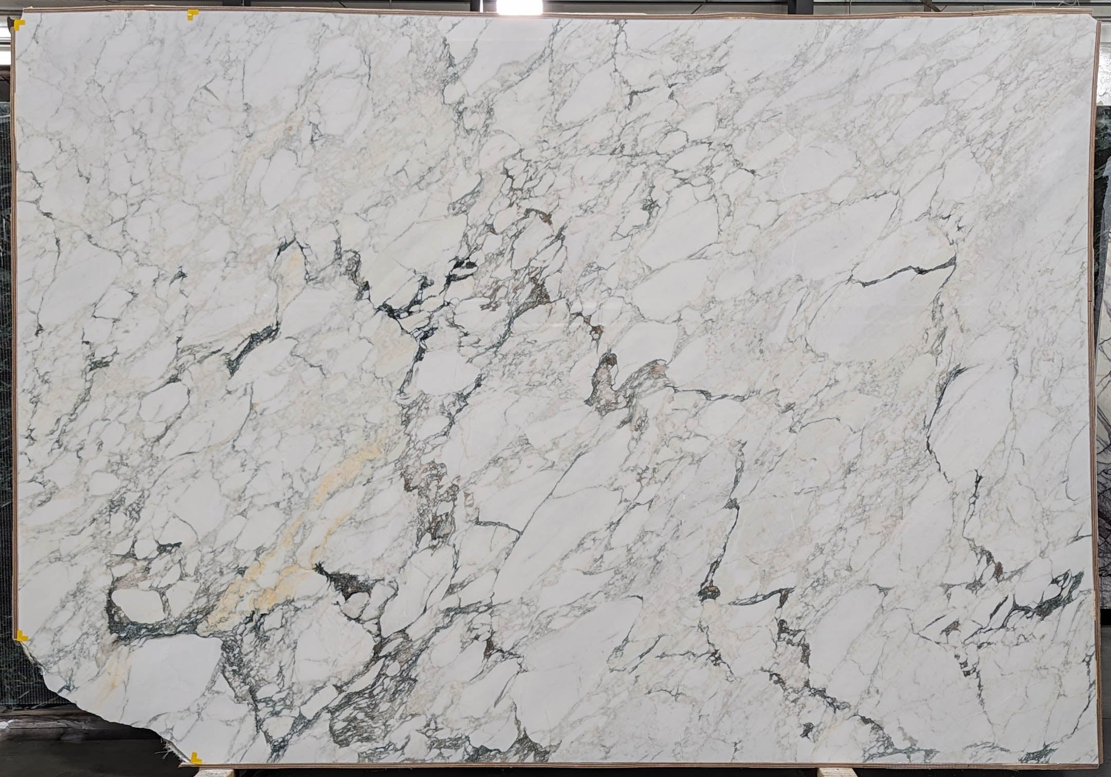  Calacatta Monet Extra Marble Slab 3/4 - T0209#12 -  63x111 