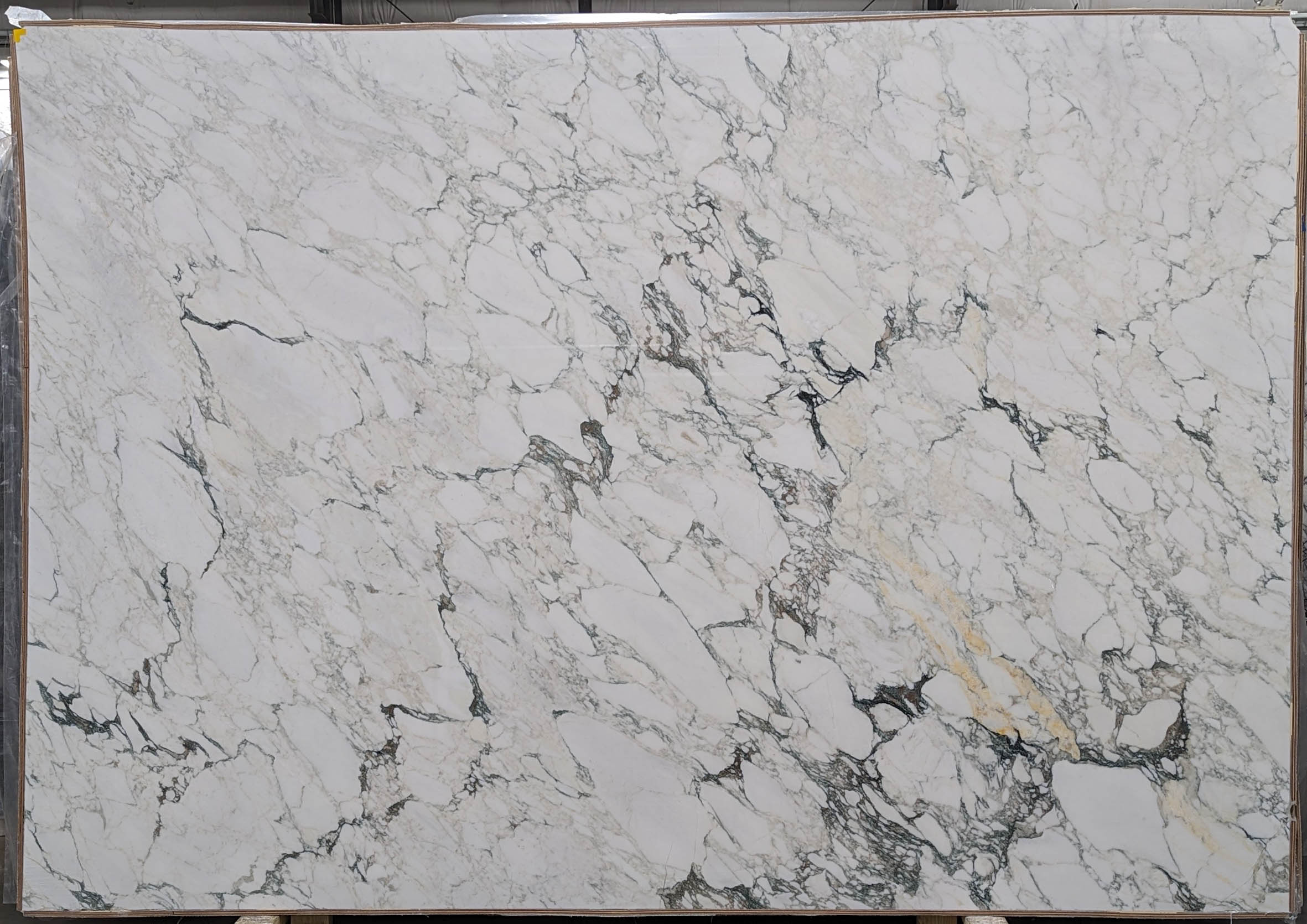  Calacatta Monet Extra Marble Slab 3/4 - T0209#13 -  75x111 