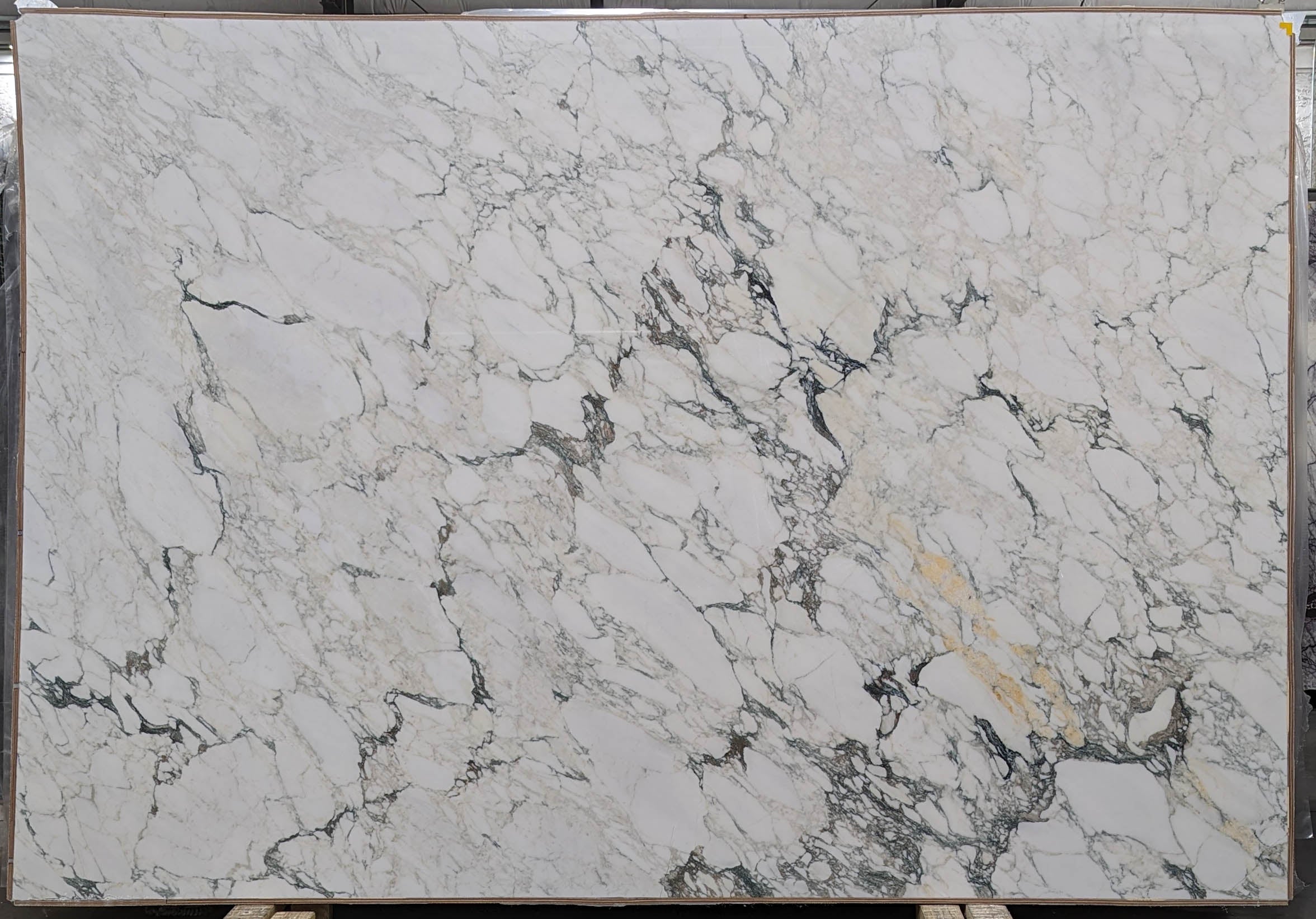  Calacatta Monet Extra Marble Slab 3/4 - T0209#15 -  75x111 