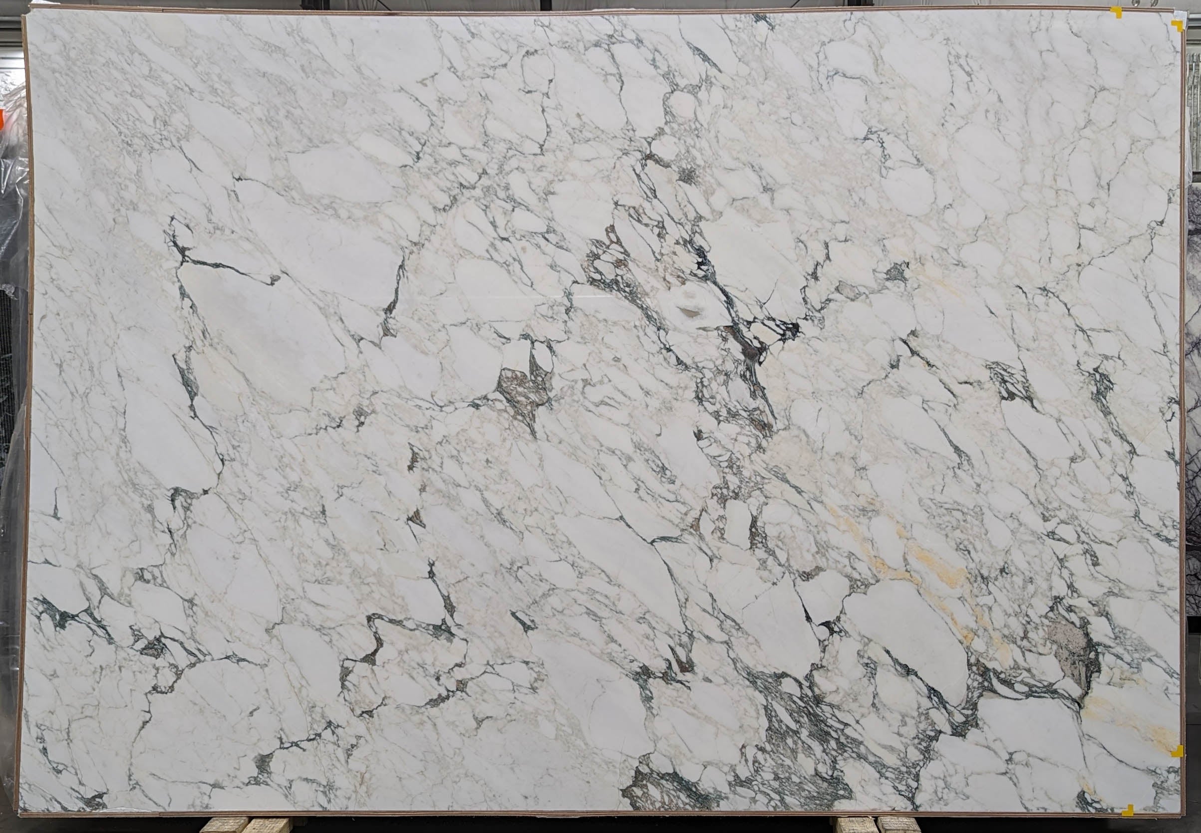  Calacatta Monet Extra Marble Slab 3/4 - T0209#19 -  70x111 