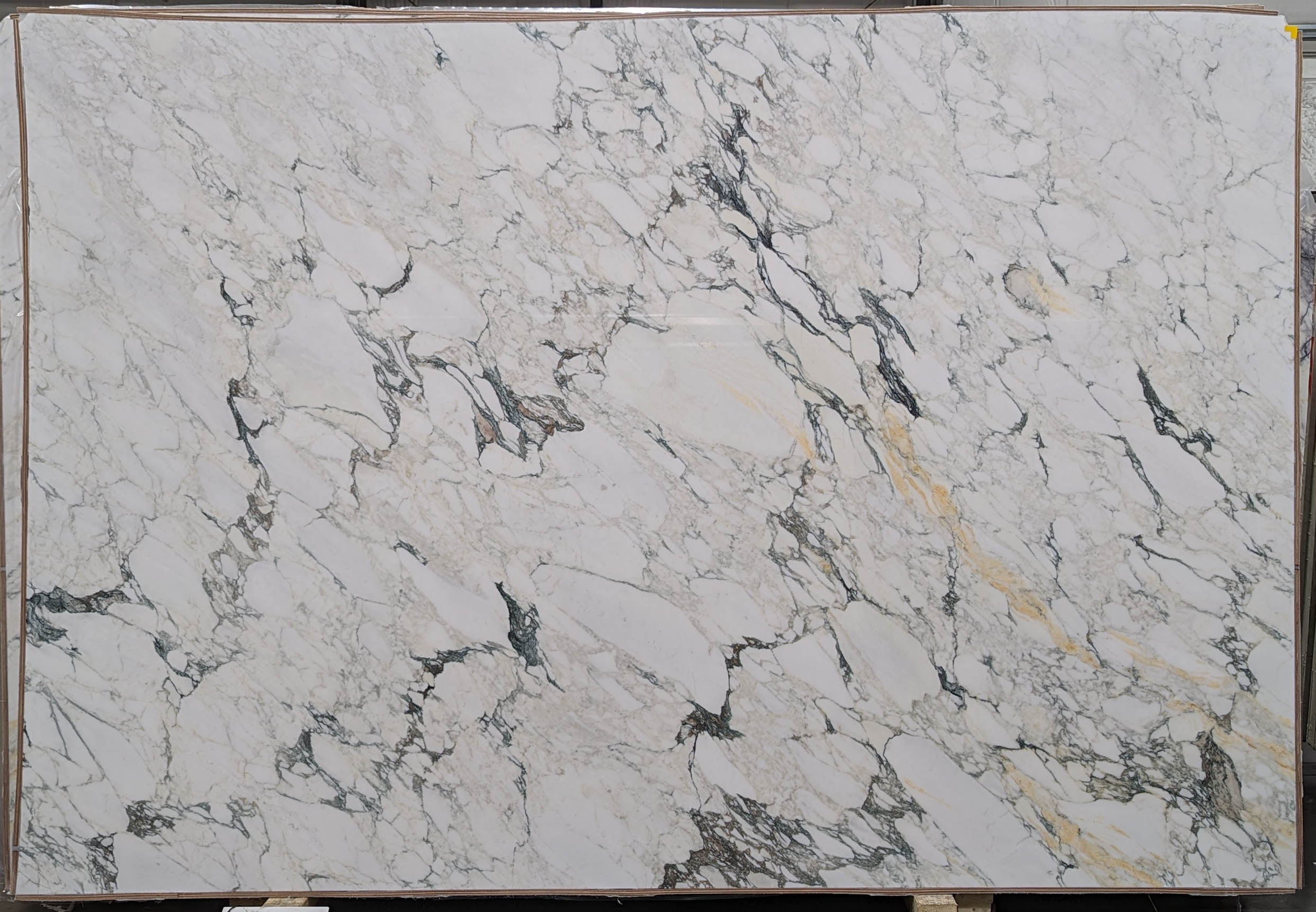  Calacatta Monet Extra Marble Slab 3/4 - T0209#51 -  75x111 