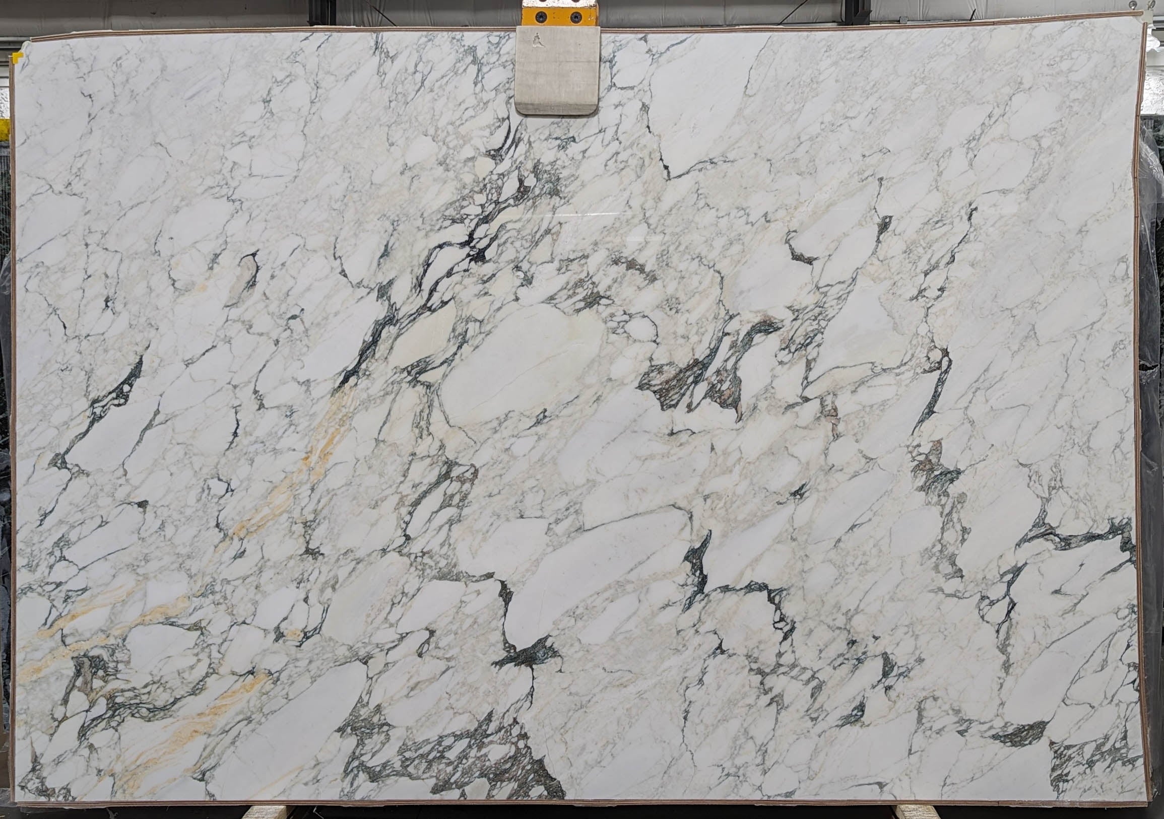  Calacatta Monet Extra Marble Slab 3/4 - T0209#56 -  75x111 