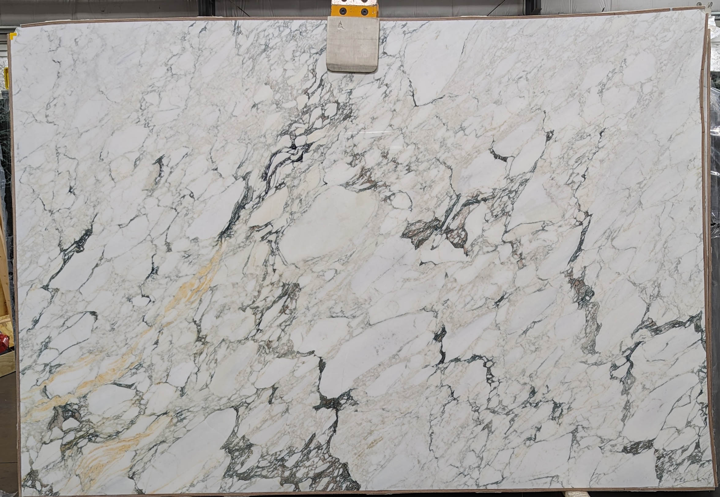  Calacatta Monet Extra Marble Slab 3/4 - T0209#58 -  75x111 