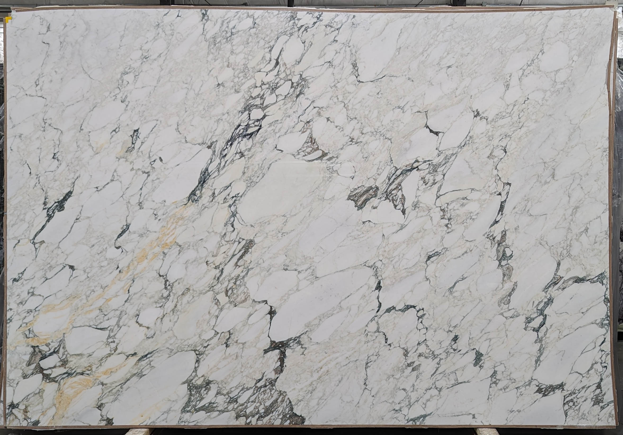  Calacatta Monet Extra Marble Slab 3/4 - T0209#60 -  75x111 