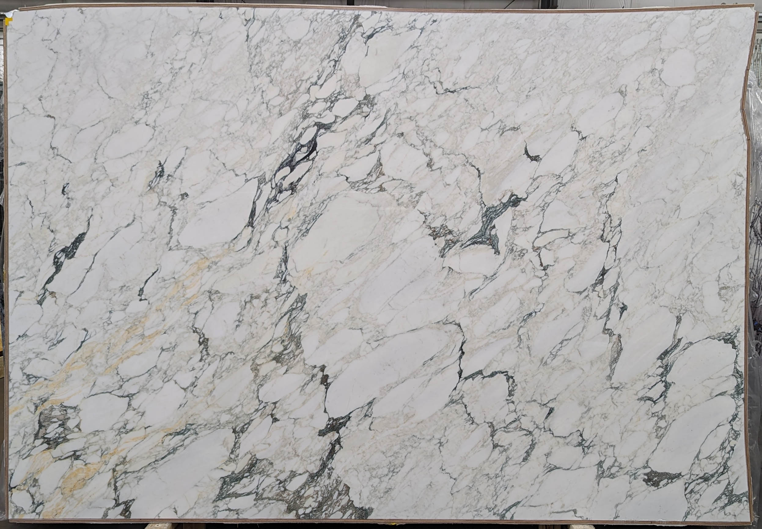  Calacatta Monet Extra Marble Slab 3/4 - T0209#64 -  75x111 