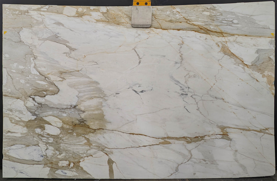  Calacatta Macchia Vecchia Marble Slab 3/4 - 953#22 -  60x113 