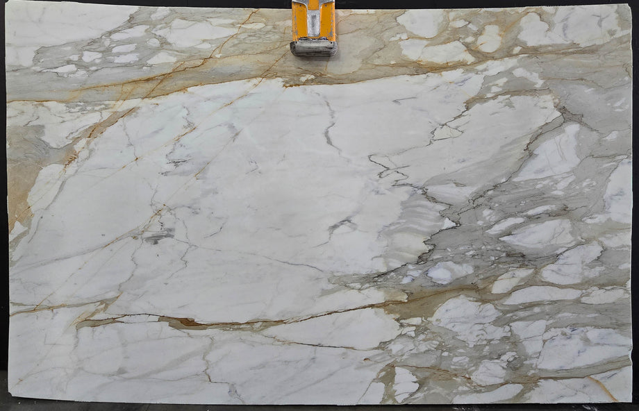  Calacatta Macchia Vecchia Marble Slab 3/4 - 953#29 -  70x113 