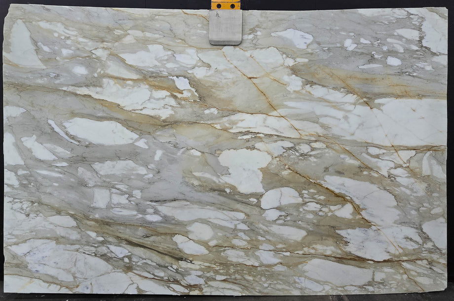  Calacatta Macchia Vecchia Marble Slab 3/4 - 953#52 -  71x113 
