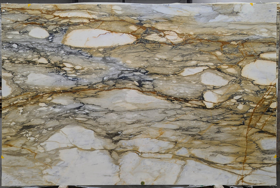  Calacatta Macchia Vecchia Marble Slab 3/4 - 13494#25 -  64X105 