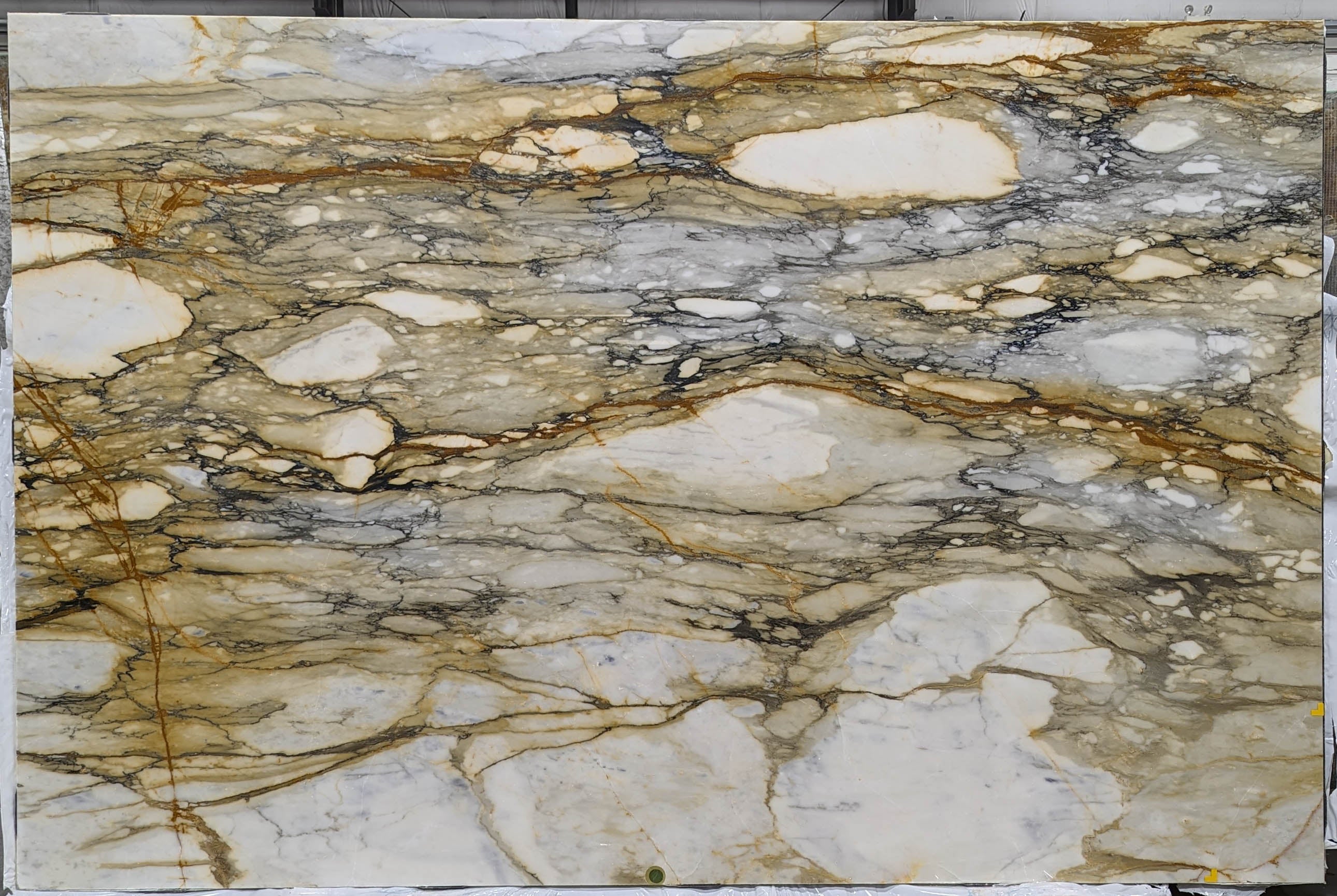  Calacatta Macchia Vecchia Marble Slab 3/4 - 13494#32 -  61X115 