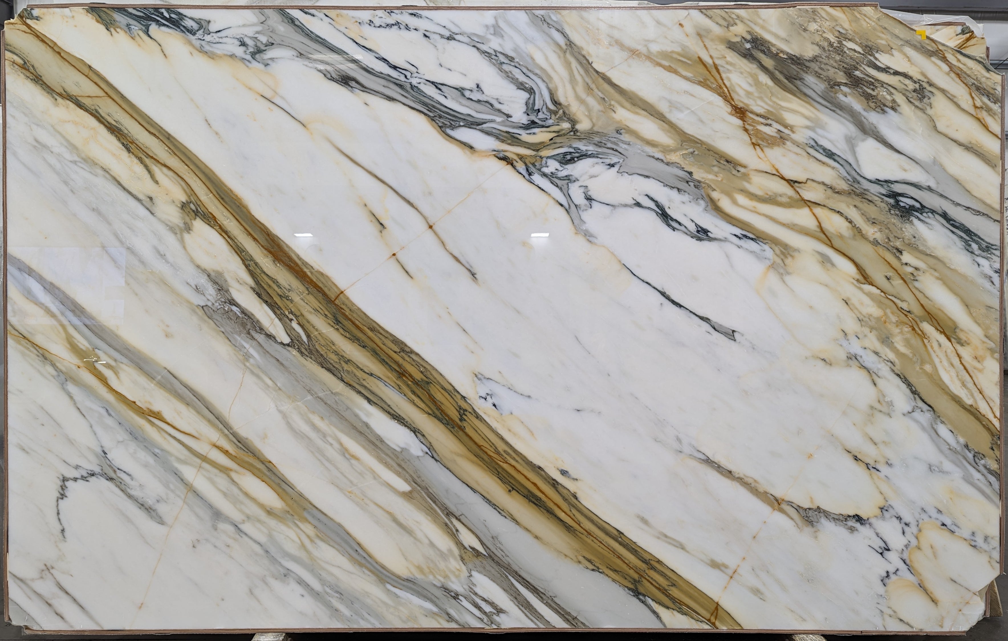 Calacatta Macchia Vecchia Marble Slab 3/4 - 26095#59 -  66x95 