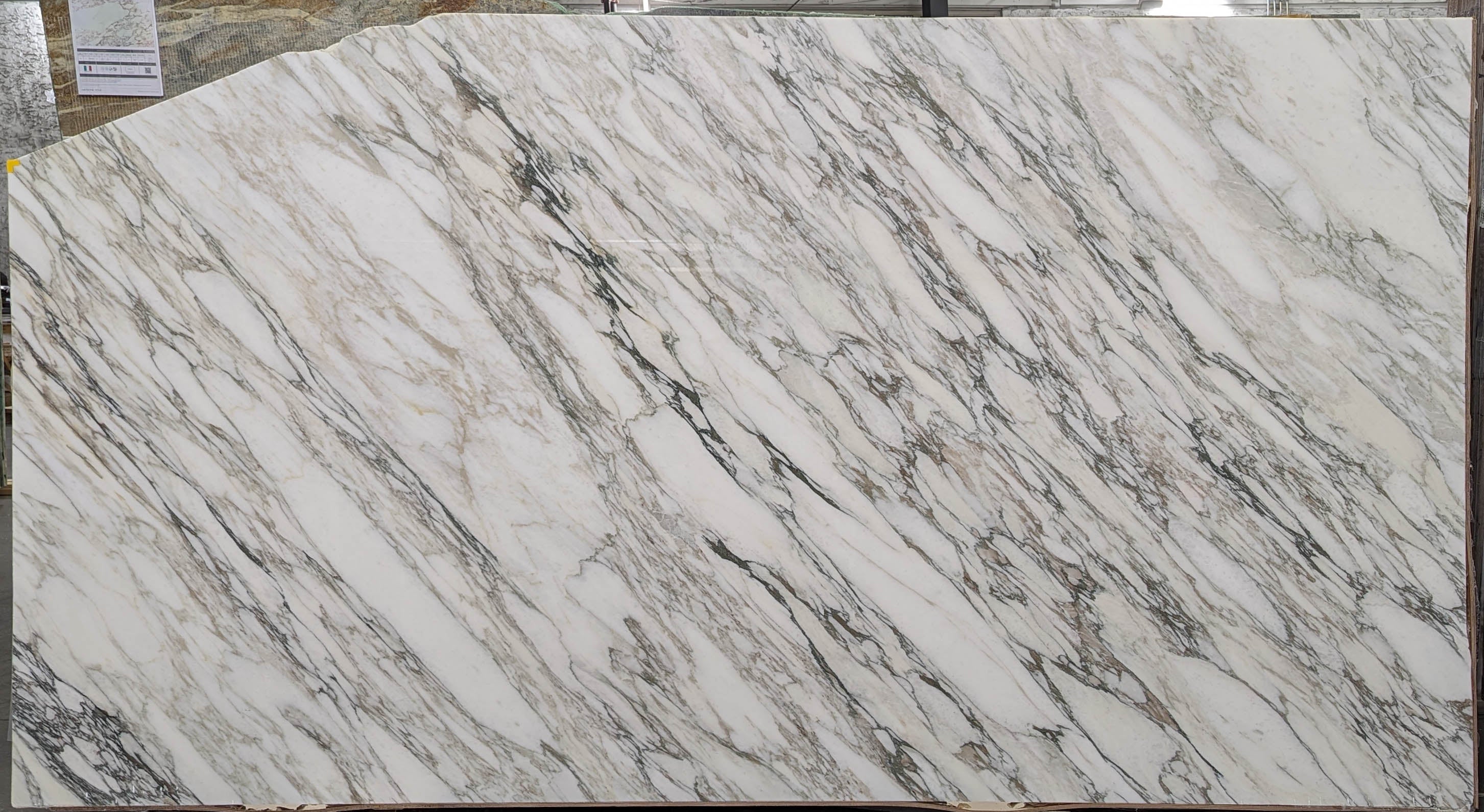  Calacatta Vagli Extra Marble Slab 3/4 - YG140#58 -  56x126 