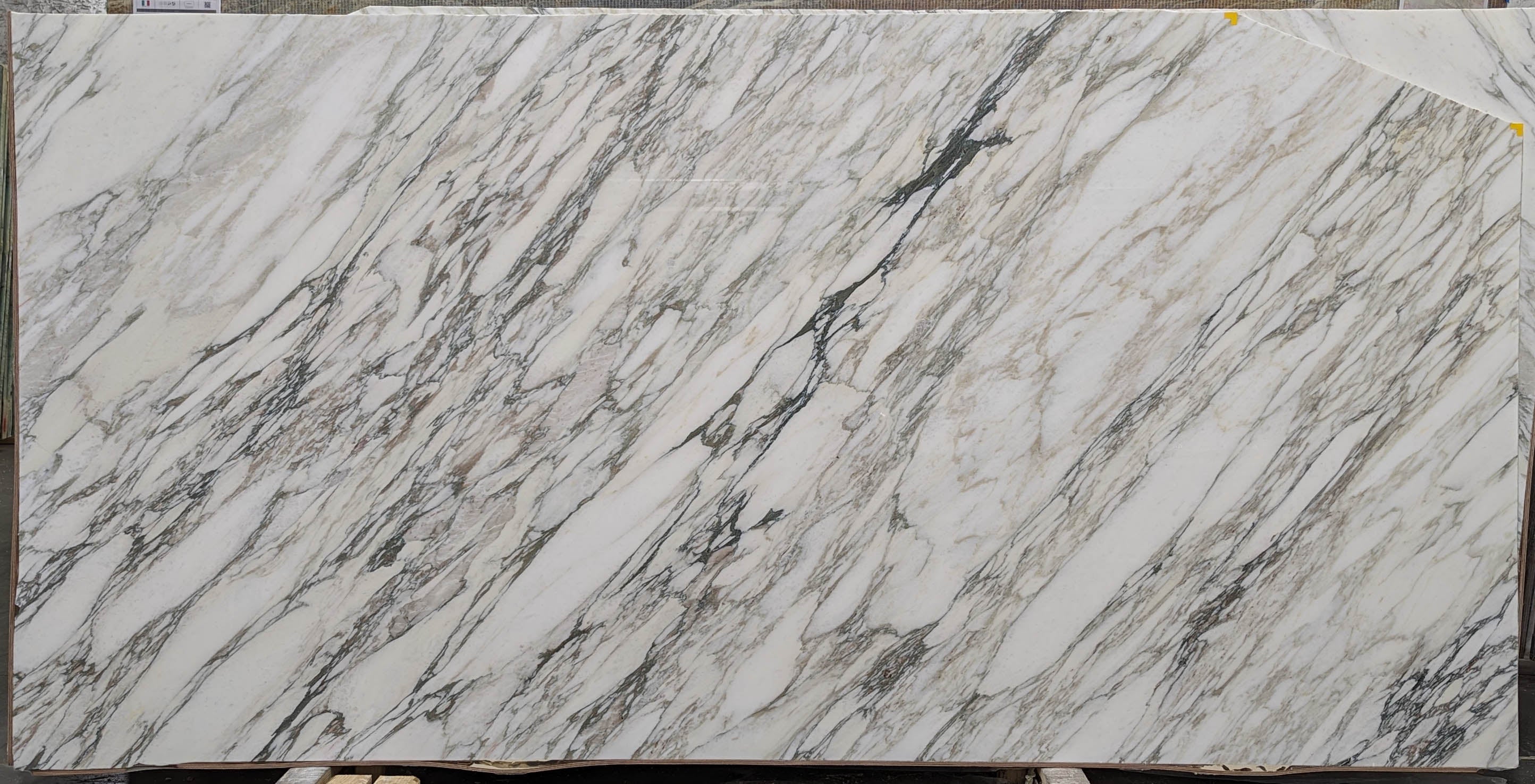  Calacatta Vagli Extra Marble Slab 3/4 - YG140#59 -  54x126 