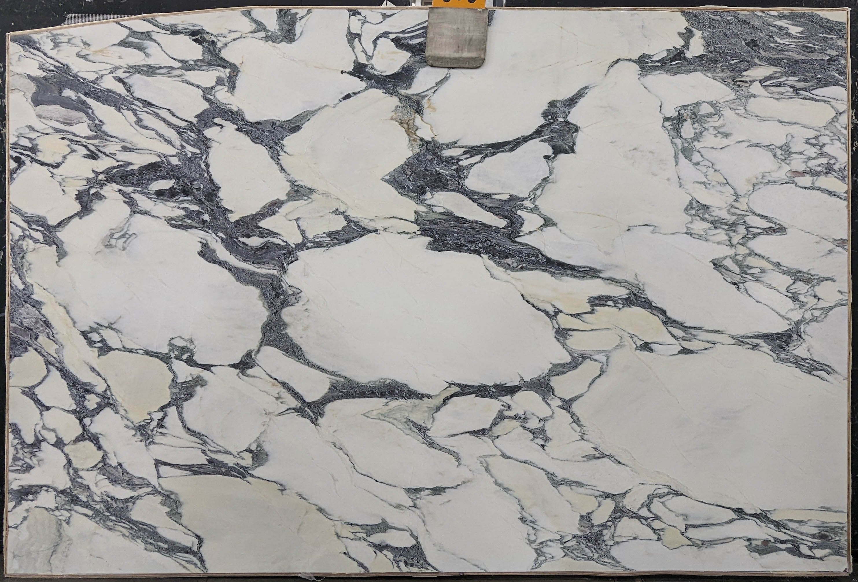  Calacatta Viola Marble Slab 3/4 - 13737A#50 -  74x116 