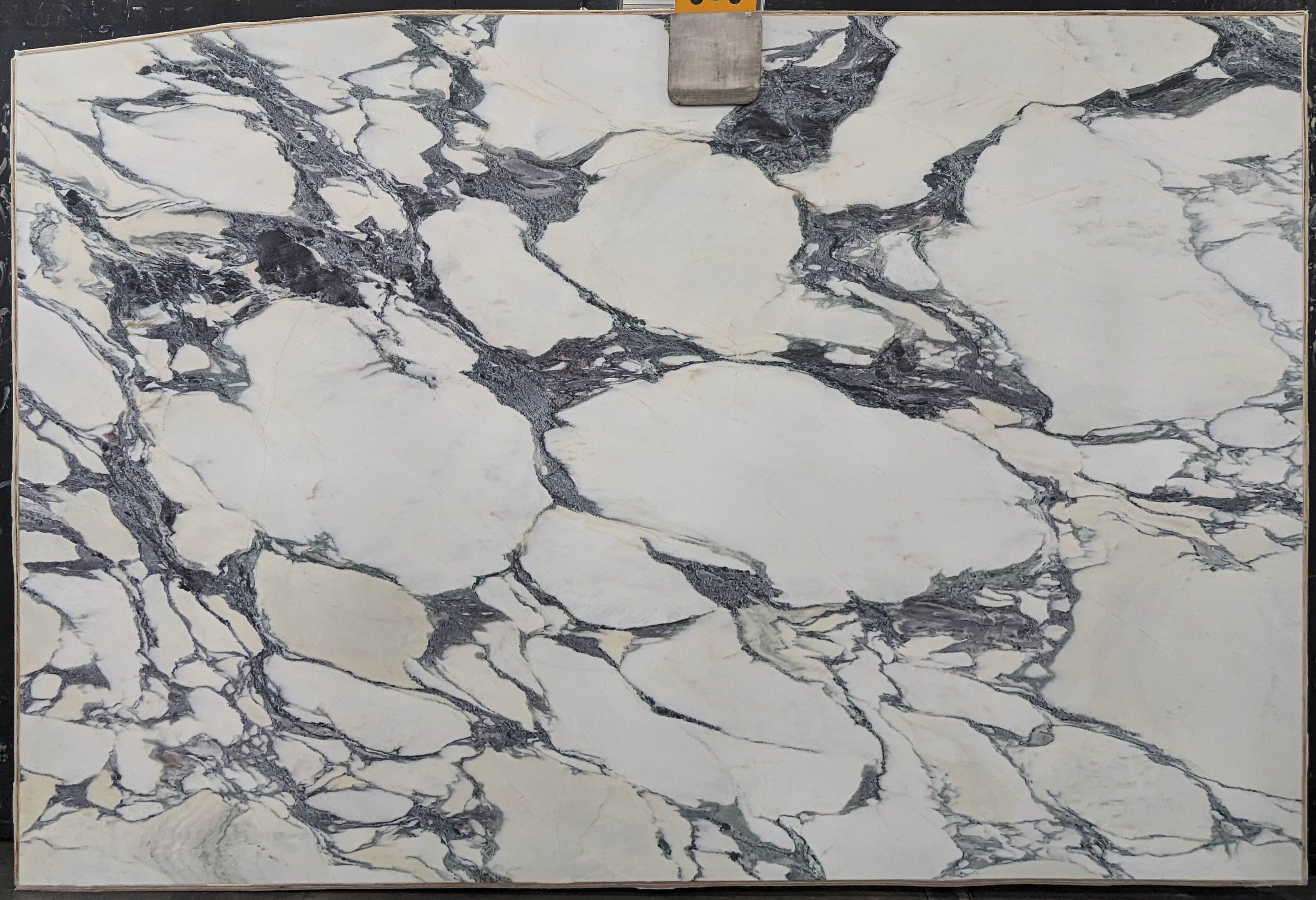 Calacatta Viola Marble Slab 3/4 - 13737A#54 -  74x116 