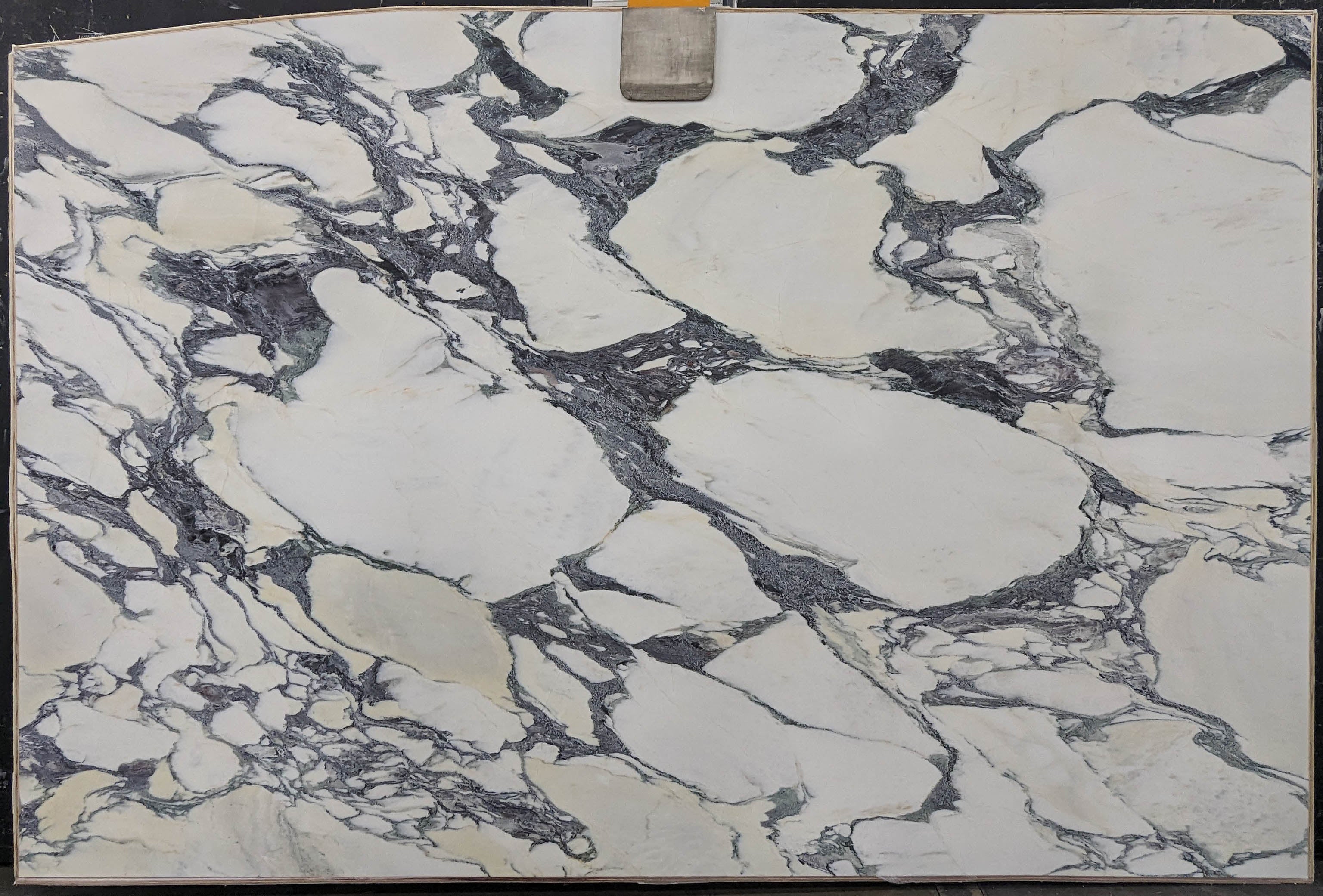  Calacatta Viola Marble Slab 3/4 - 13737A#56 -  74x116 