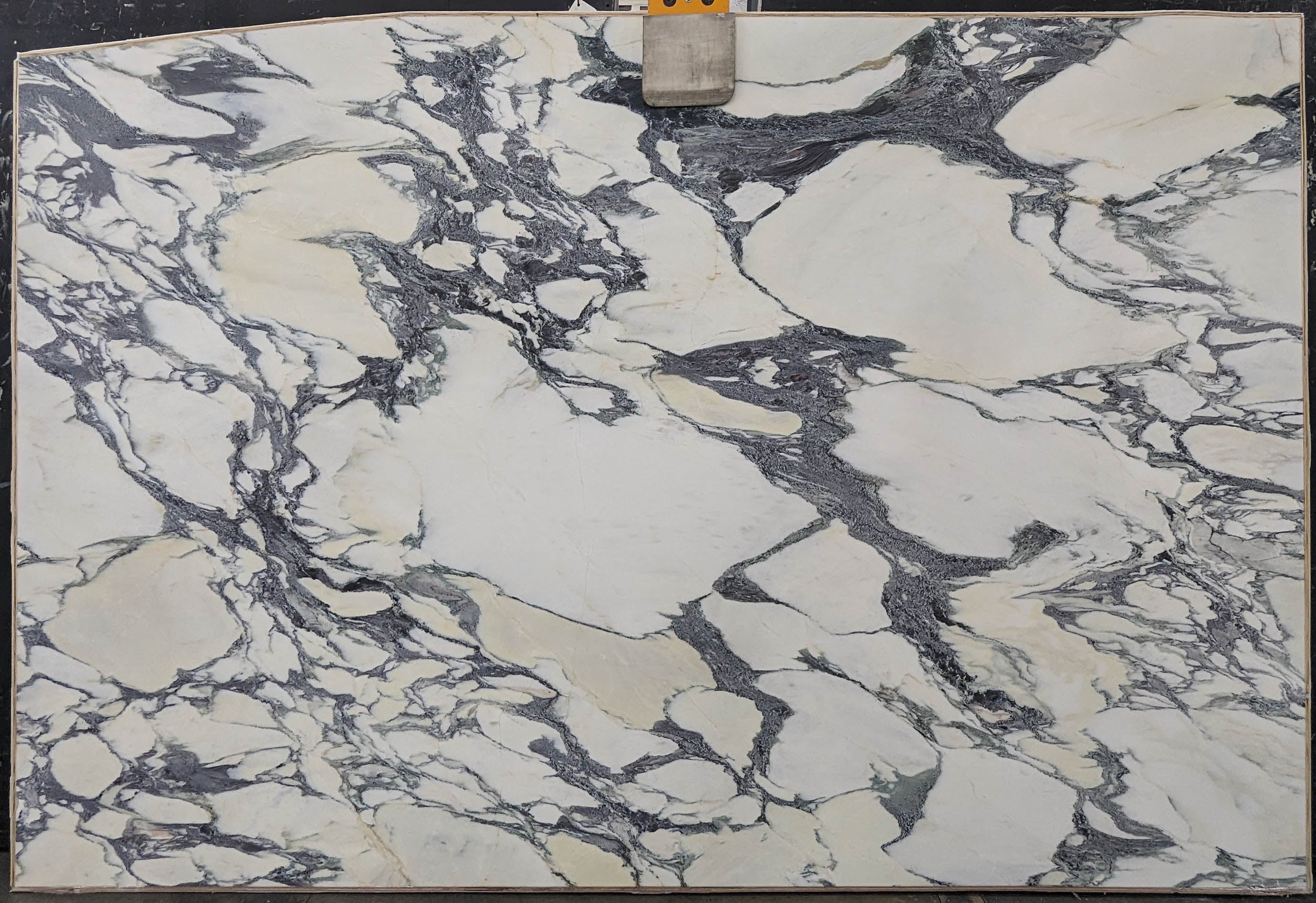  Calacatta Viola Marble Slab 3/4 - 13737A#60 -  74x116 