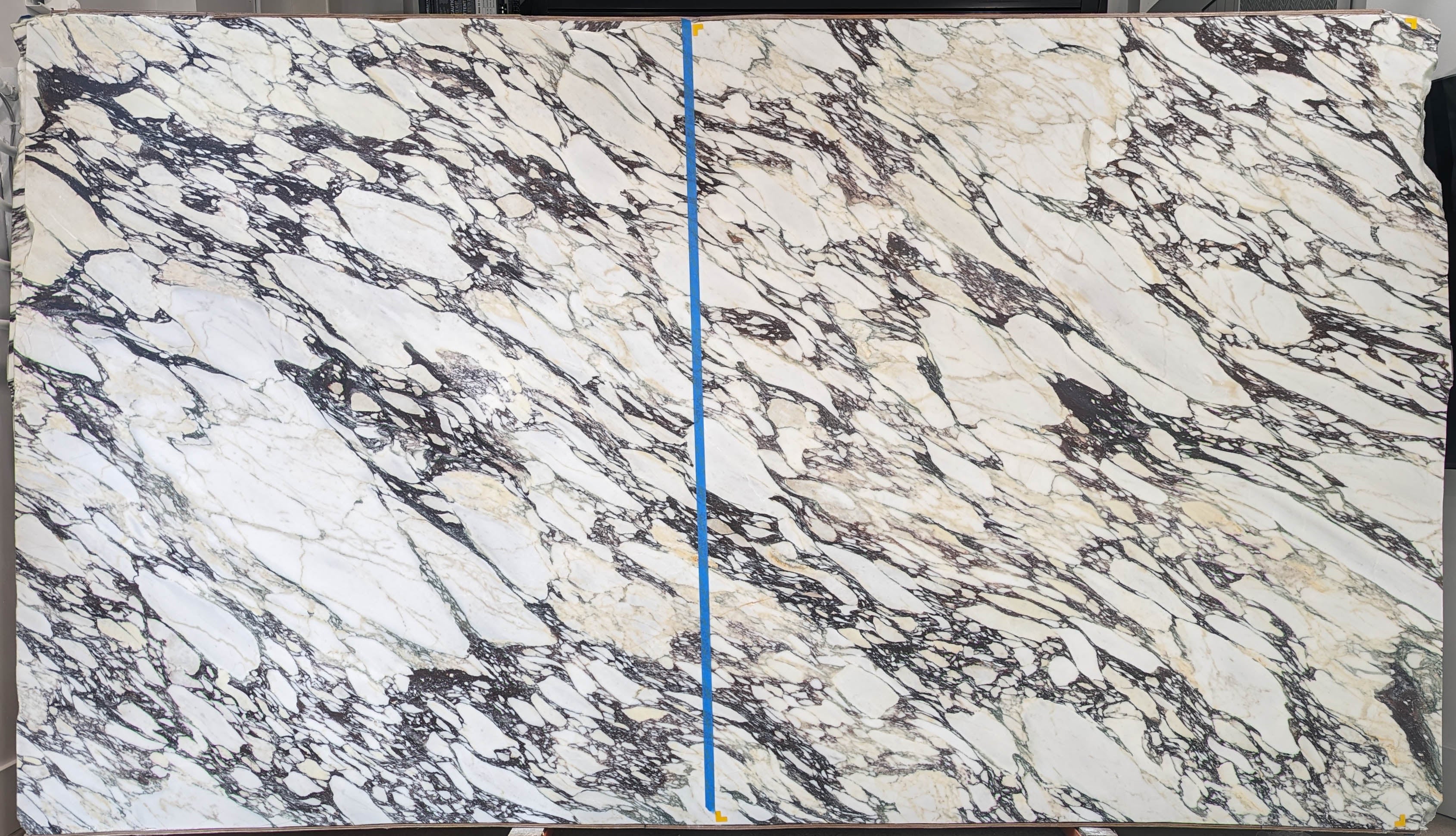  Calacatta Viola Marble Slab 3/4 - 4126#03 -  74x63 