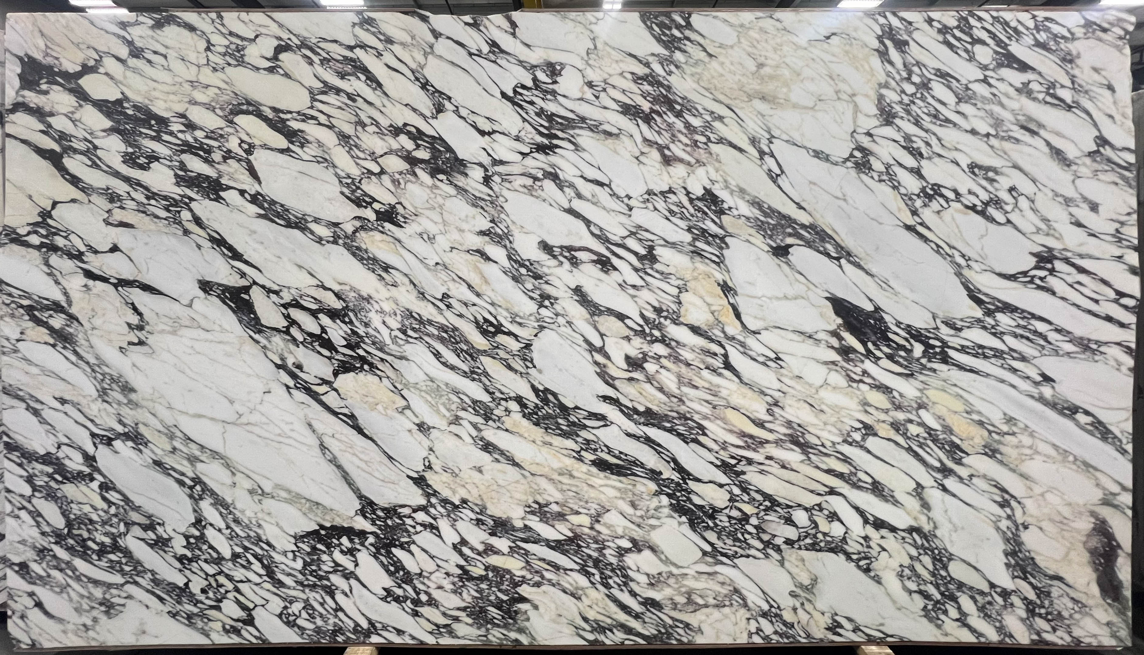  Calacatta Viola Marble Slab 3/4 - 4126#05 -  76x132 